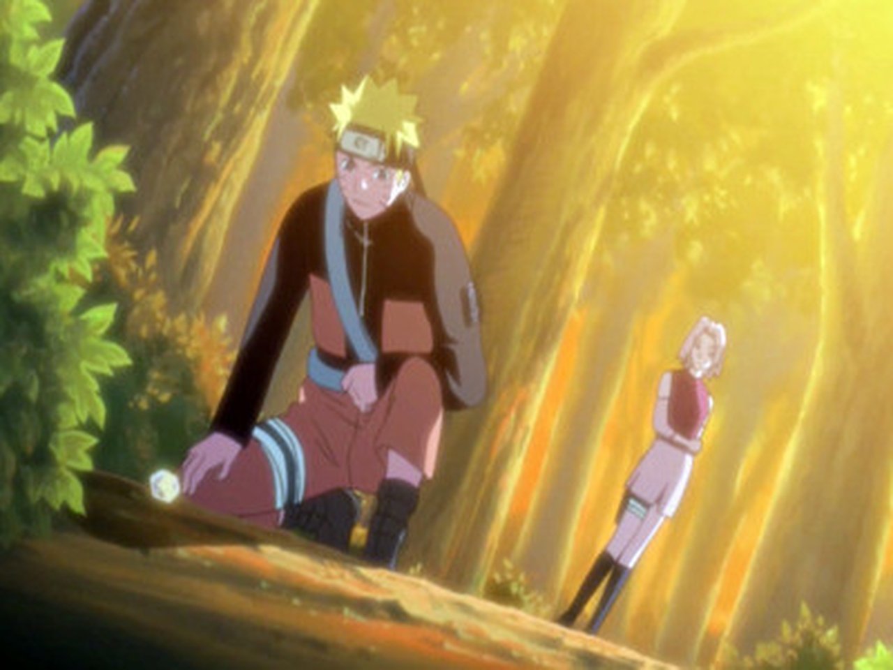 Naruto Shippūden - Season 5 Episode 112 : The Place to Return To