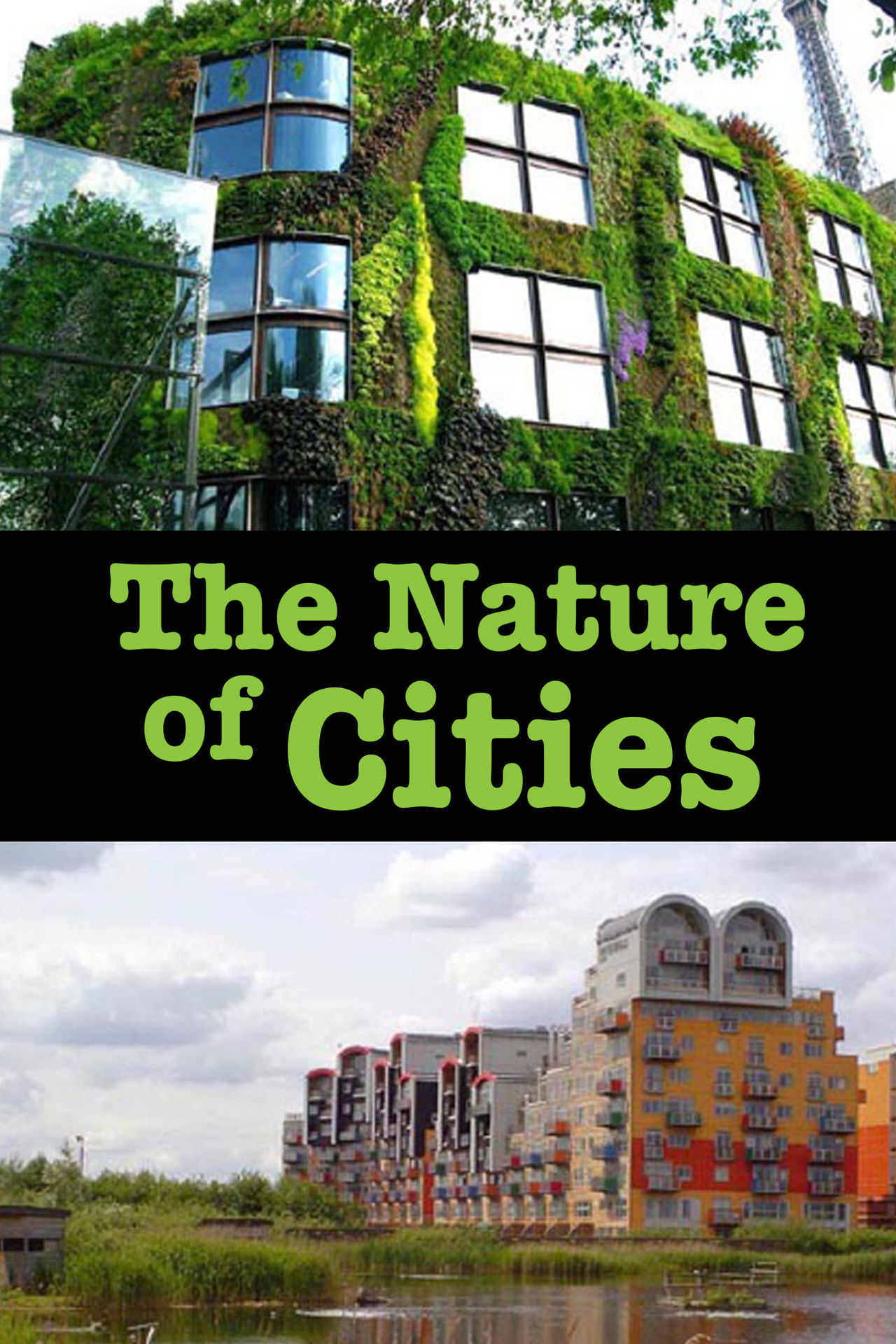 The Nature of Cities Backdrop