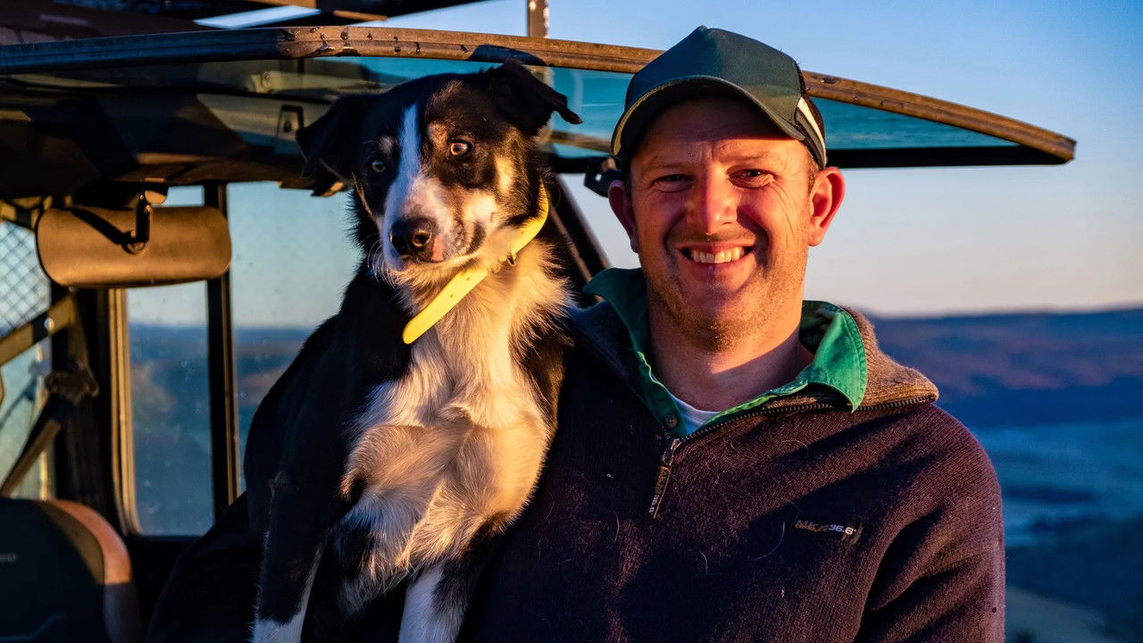 Muster Dogs: Where Are They Now — Épisode 1