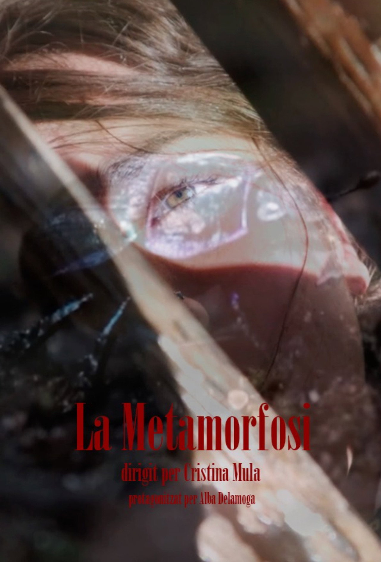 La Metamorfosi filmaffisch