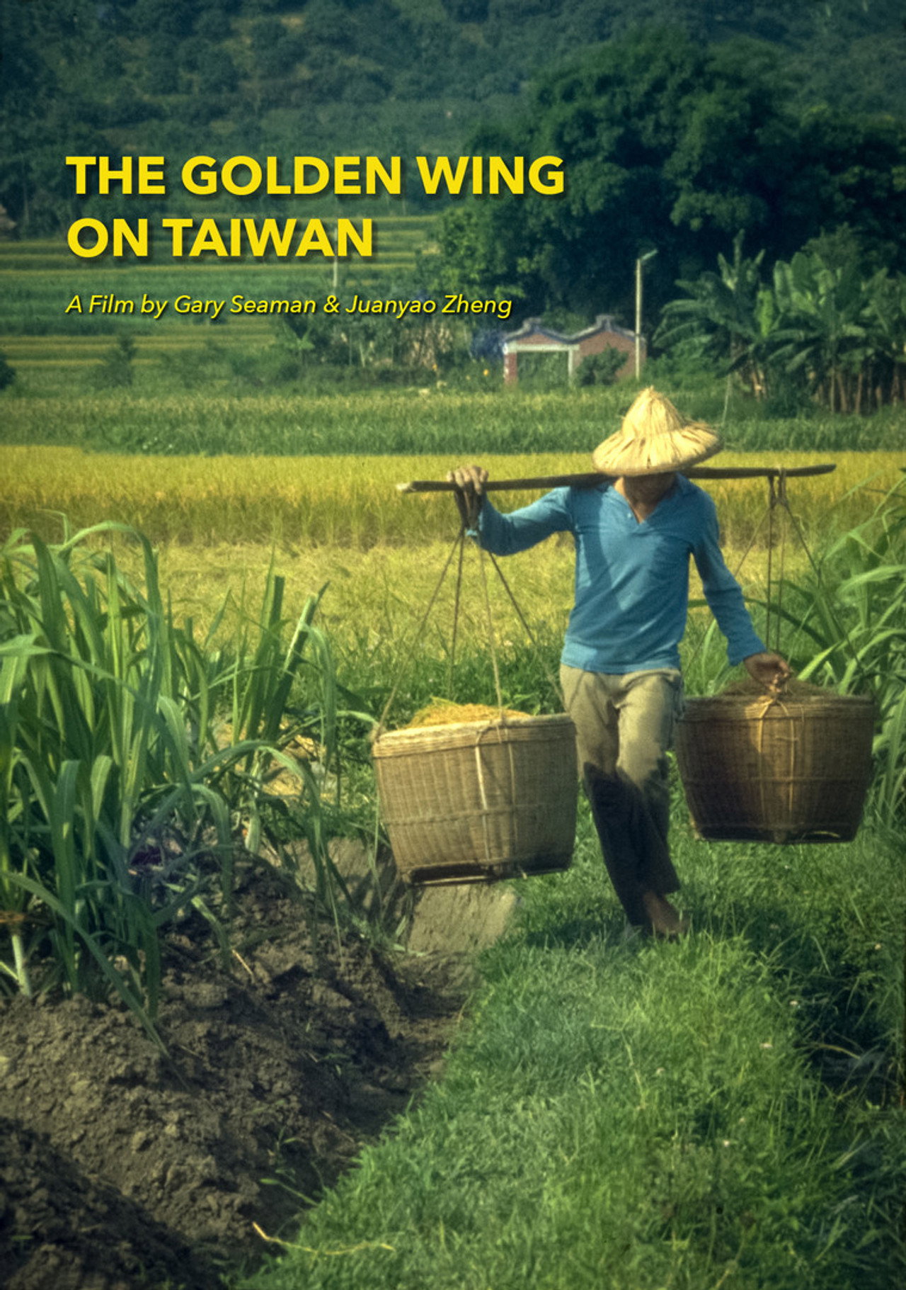 The Golden Wing on Taiwan
