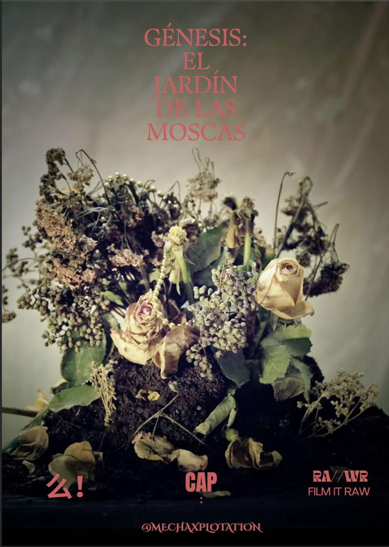 Génesis: El Jardín de las Moscas filmaffisch