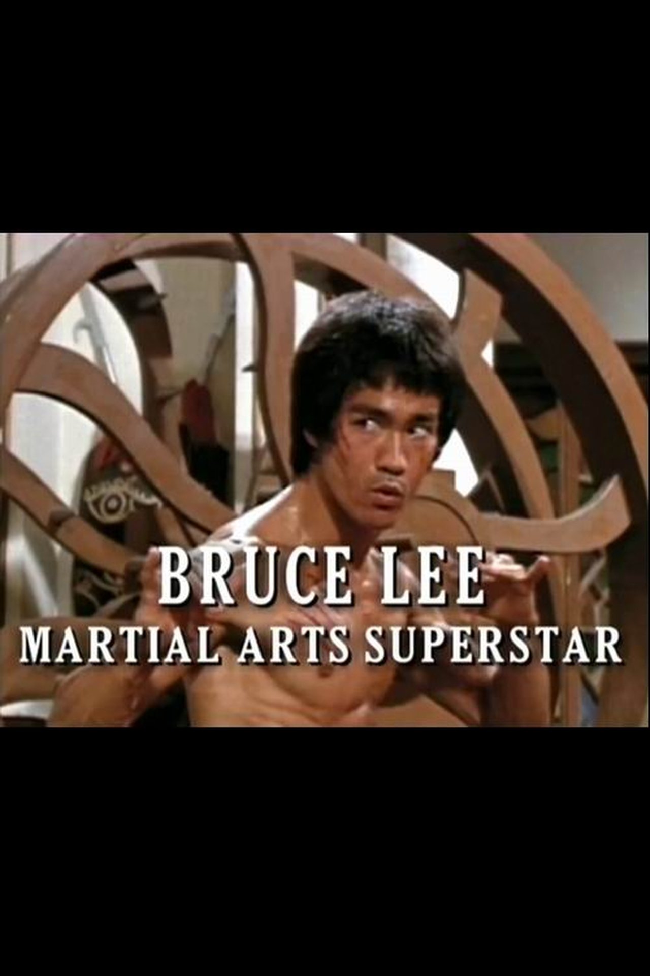 مشاهدة فيلم Bruce Lee: Martial Arts Superstar مترجم بدون اعلانات - بوستر