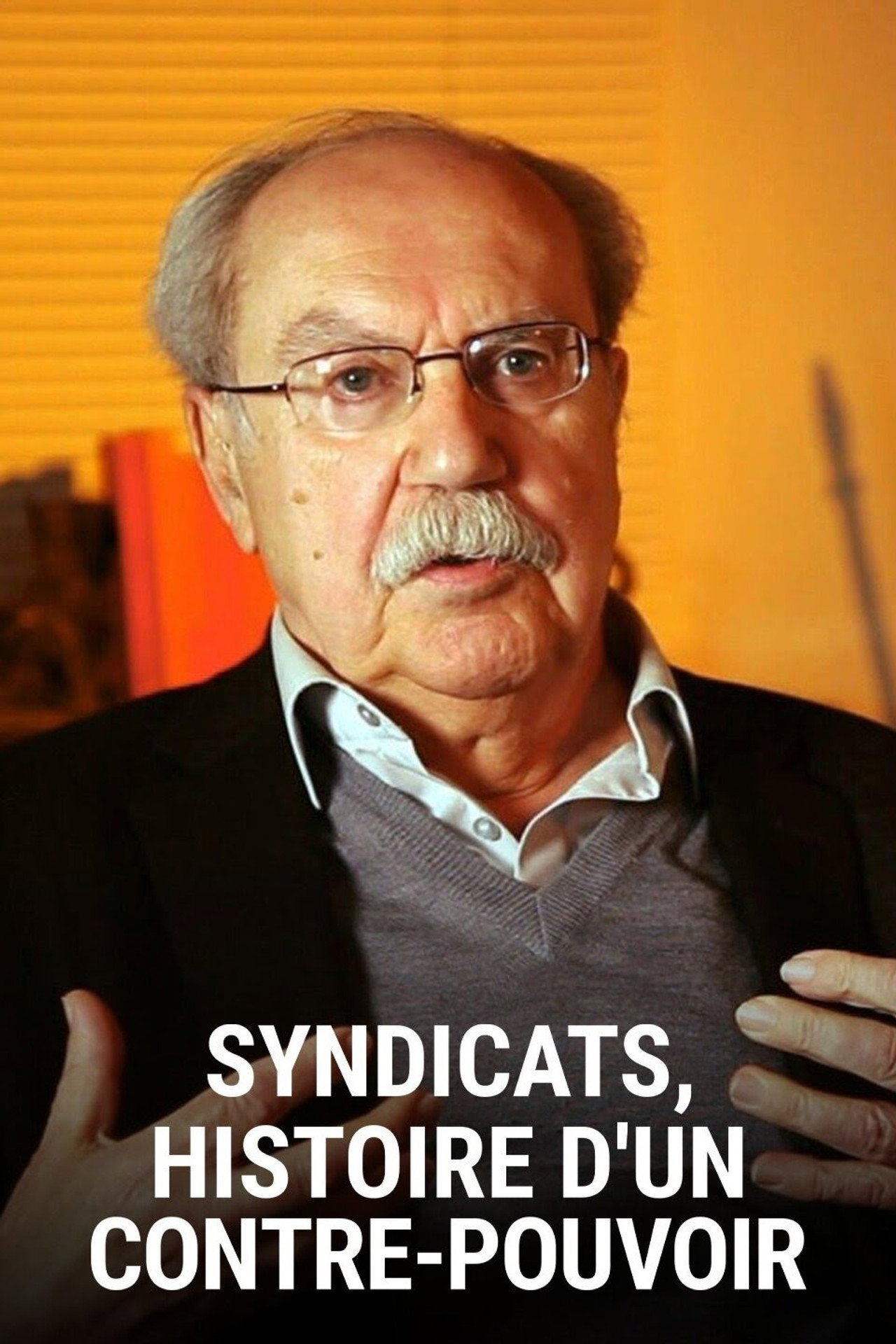 Syndicats, histoire d'un contre-pouvoir affisch