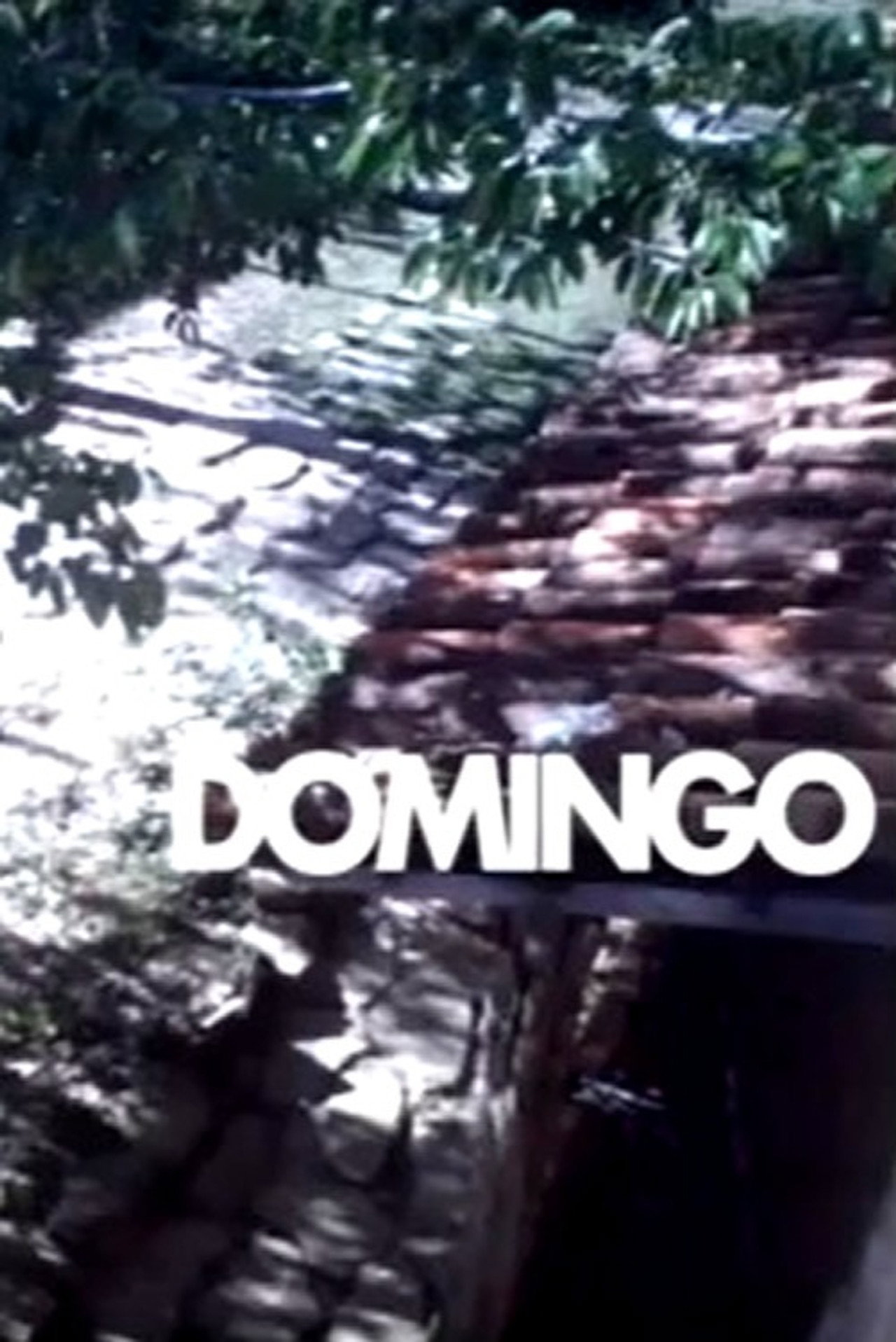 Domingo filmaffisch