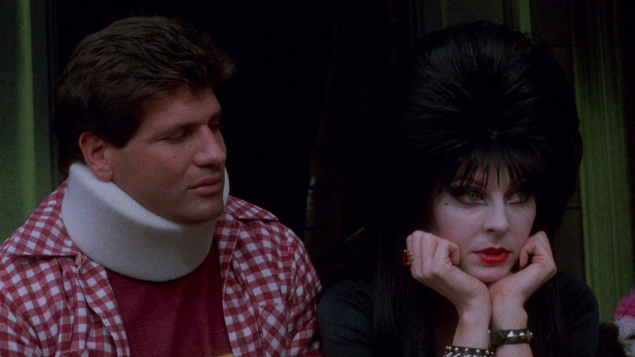 Elvira: Mistress of the Dark background 110