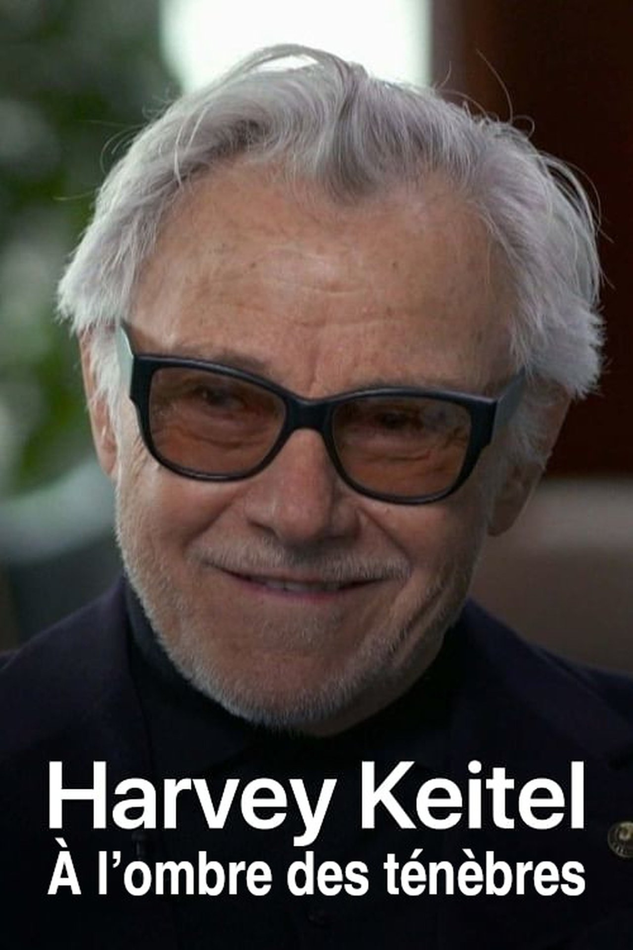 Harvey Keitel : À l'ombre des ténèbres poster