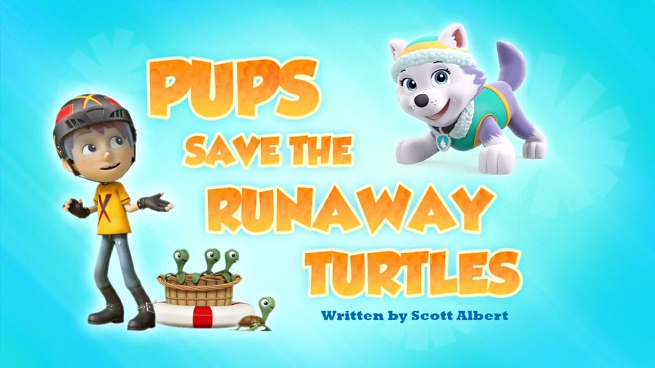 PAW Patrol - Season 4 Episode 37 : Pups Save the Runaway Turtles