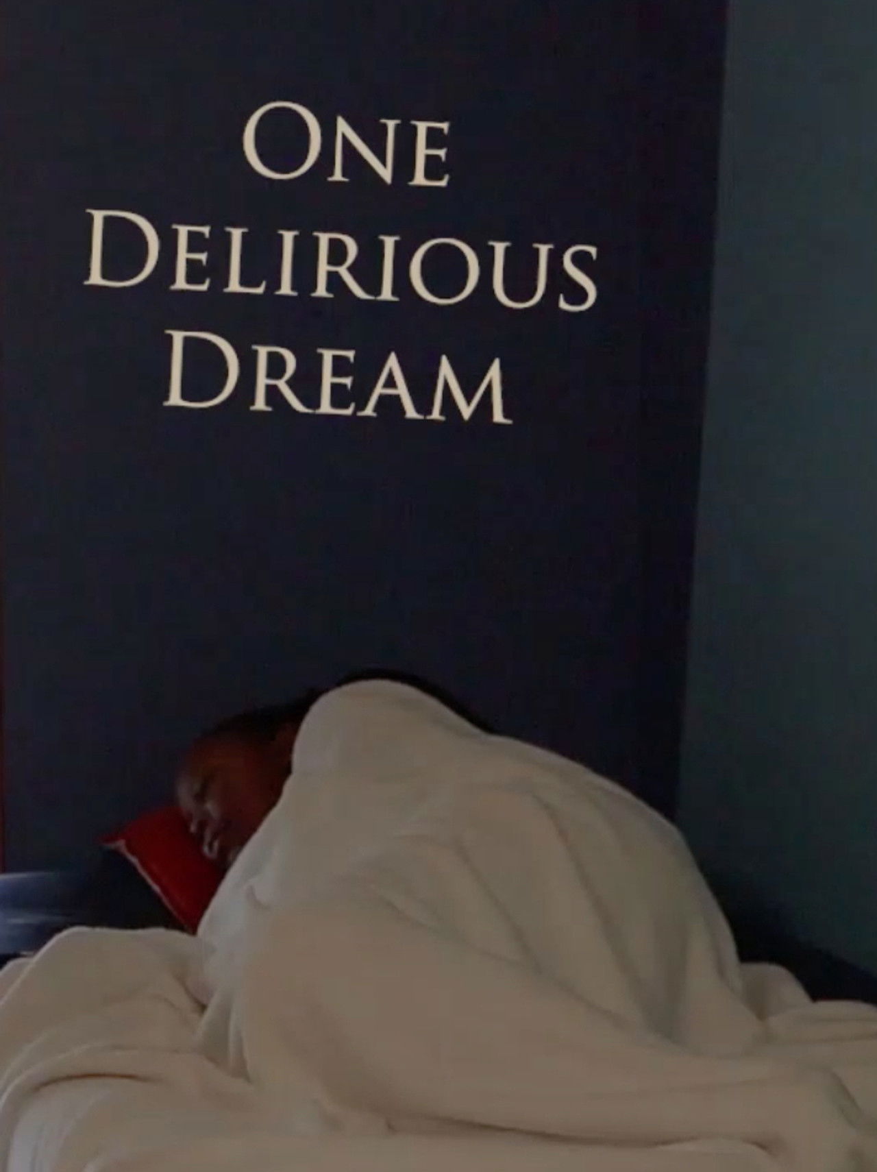 One Delirious Dream poster