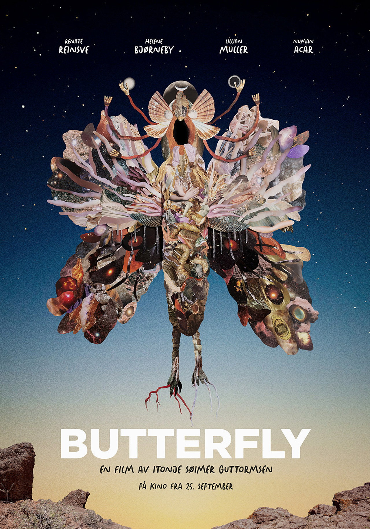 Butterfly
