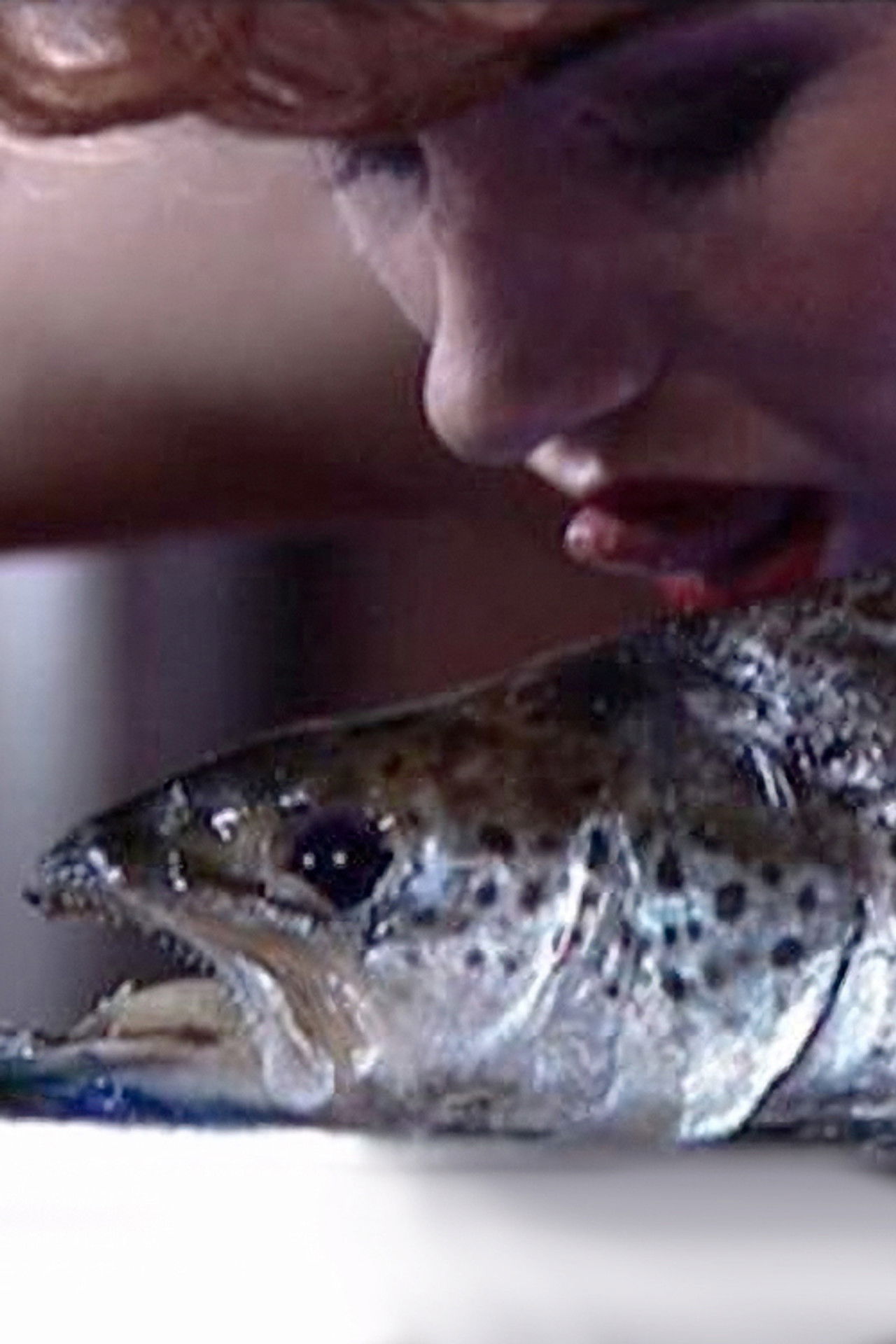 Homo Erectus Backdrop