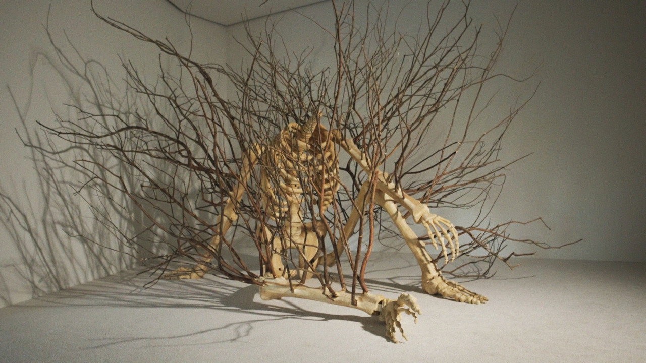Hugh Hayden: Skeletons in the Swamp still 4