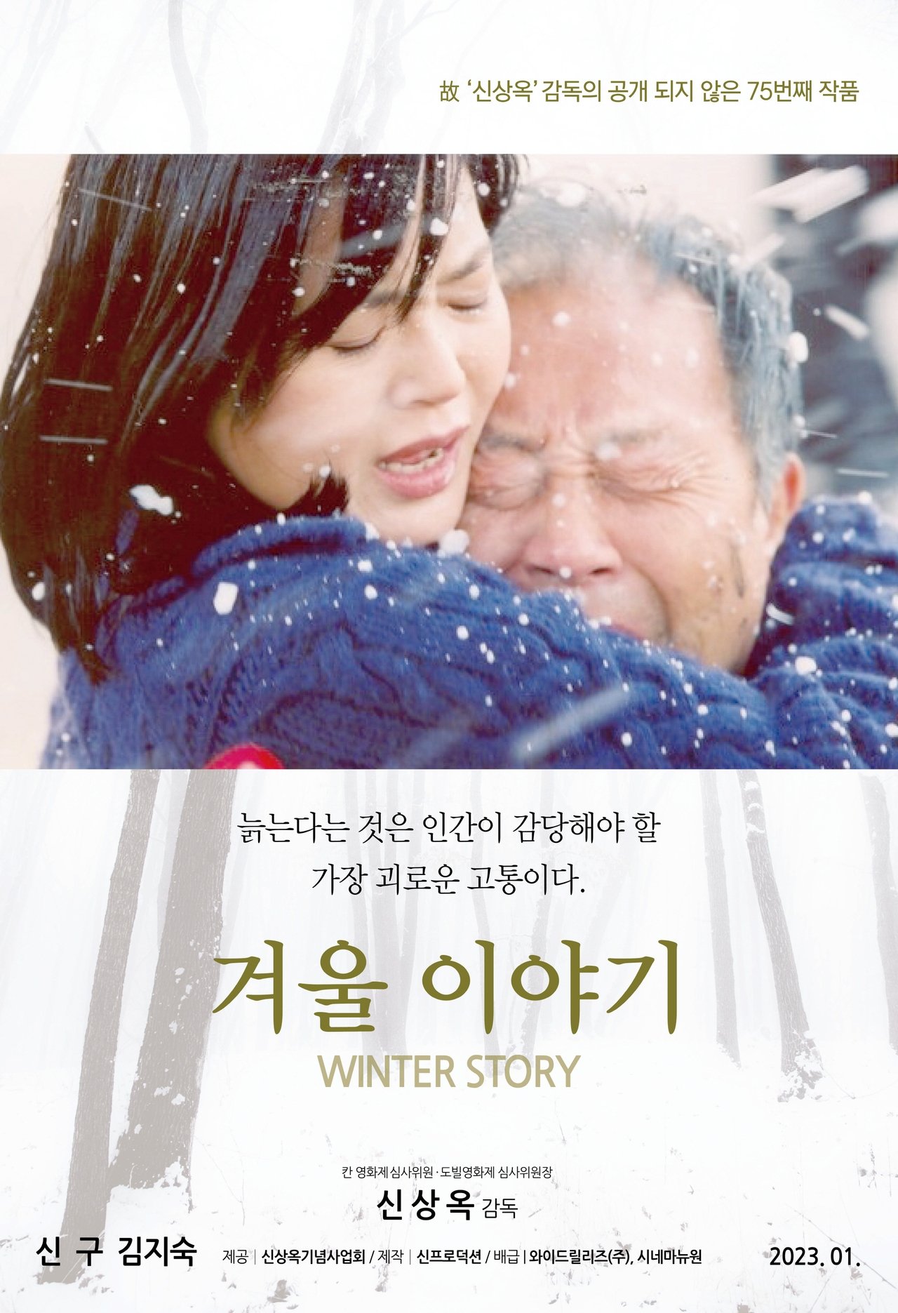 مشاهدة فيلم Winter Story مترجم بدون اعلانات - بوستر