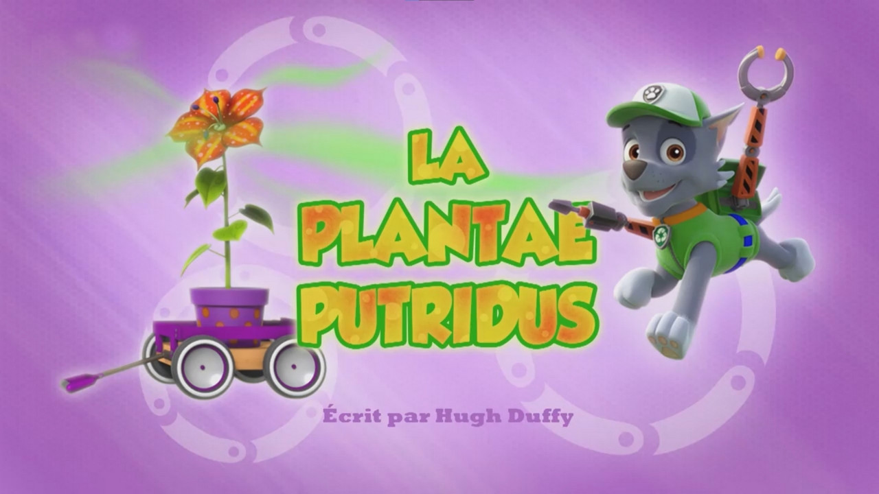 La Plantae putridus