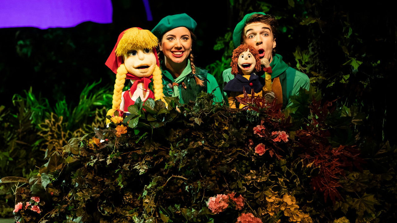 Sprookjesboom de Musicals