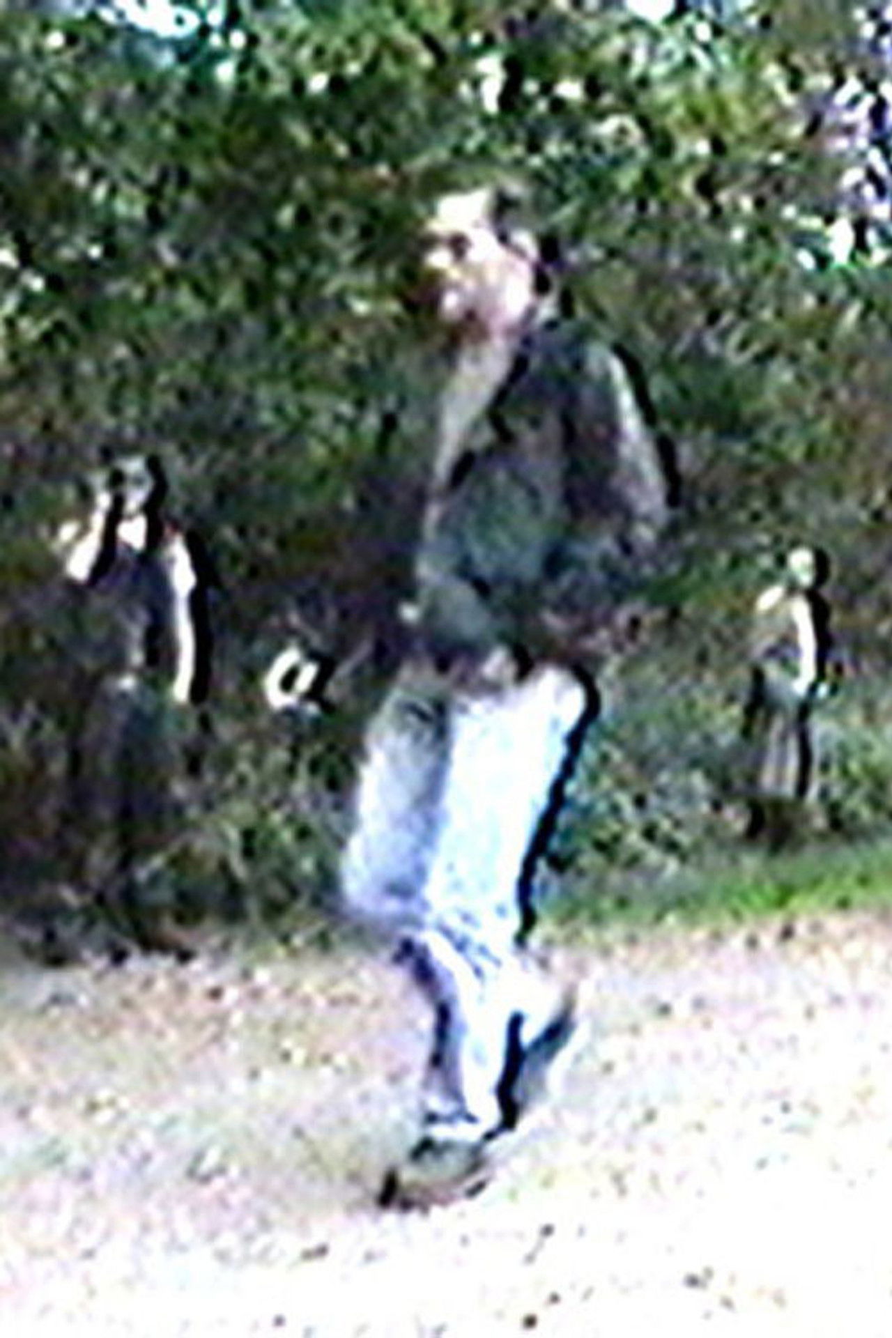 Pan Sexual Public Porn AKA the Adventures of Hans and Del Backdrop