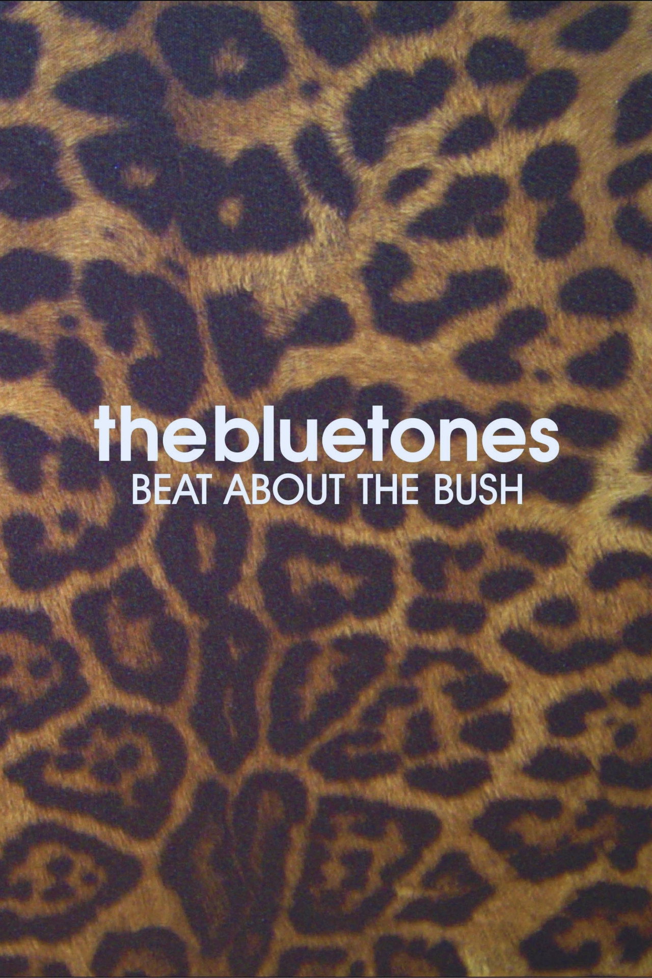 The Bluetones: Beat About The Bush filmaffisch