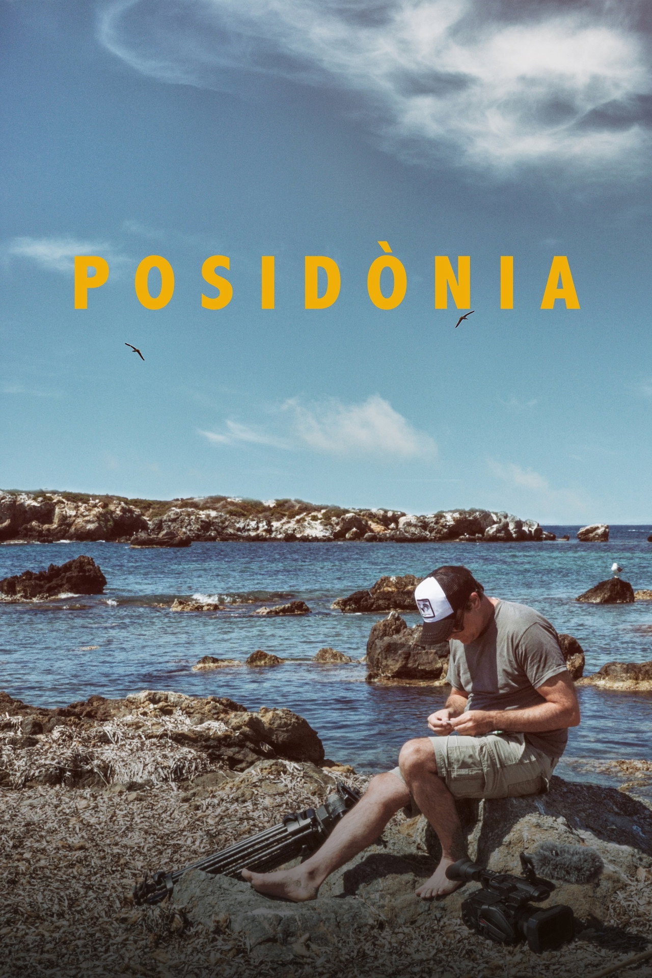 Posidònia filmaffisch
