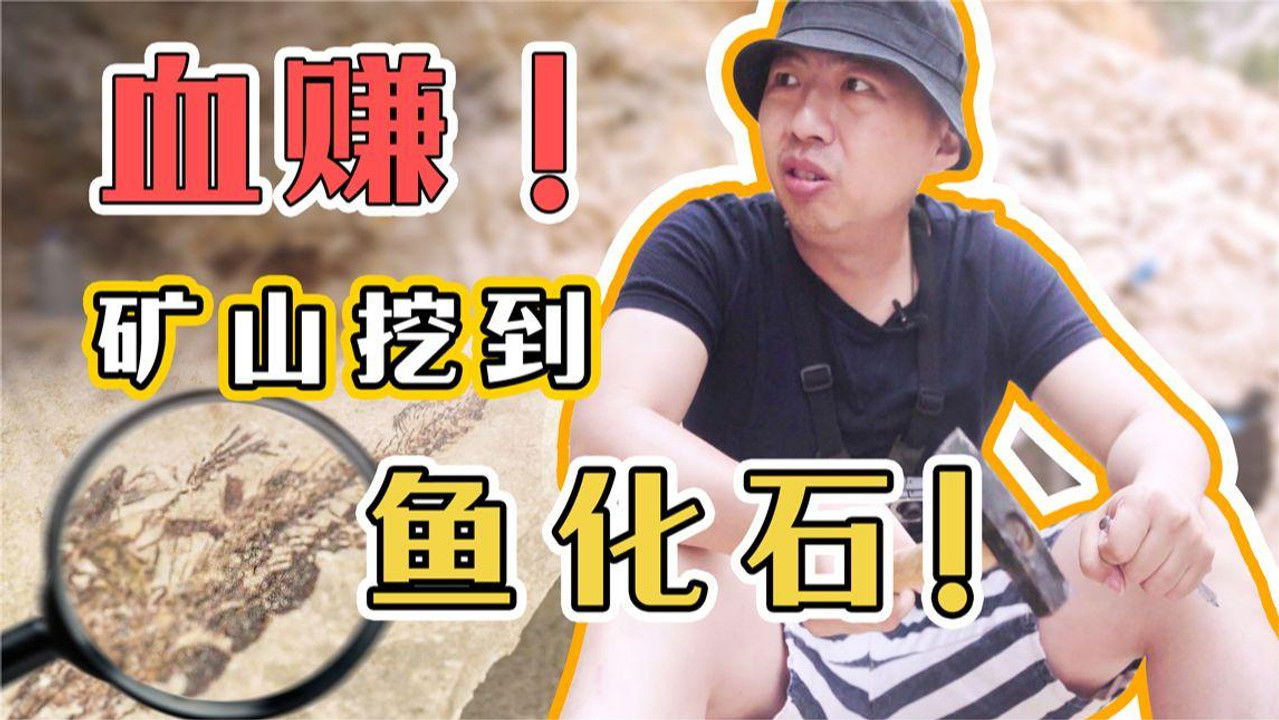 中东大宝荐 — Épisode 5