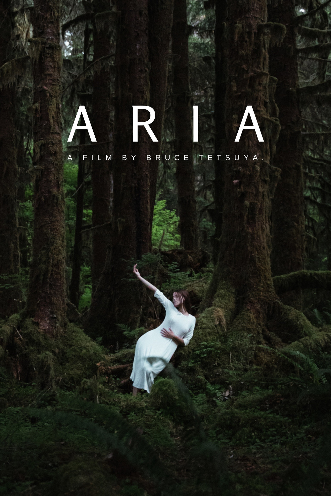 Aria filmaffisch