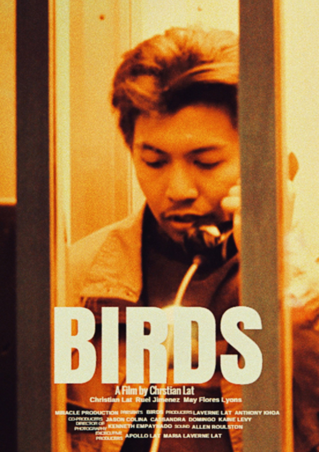 Birds filmaffisch