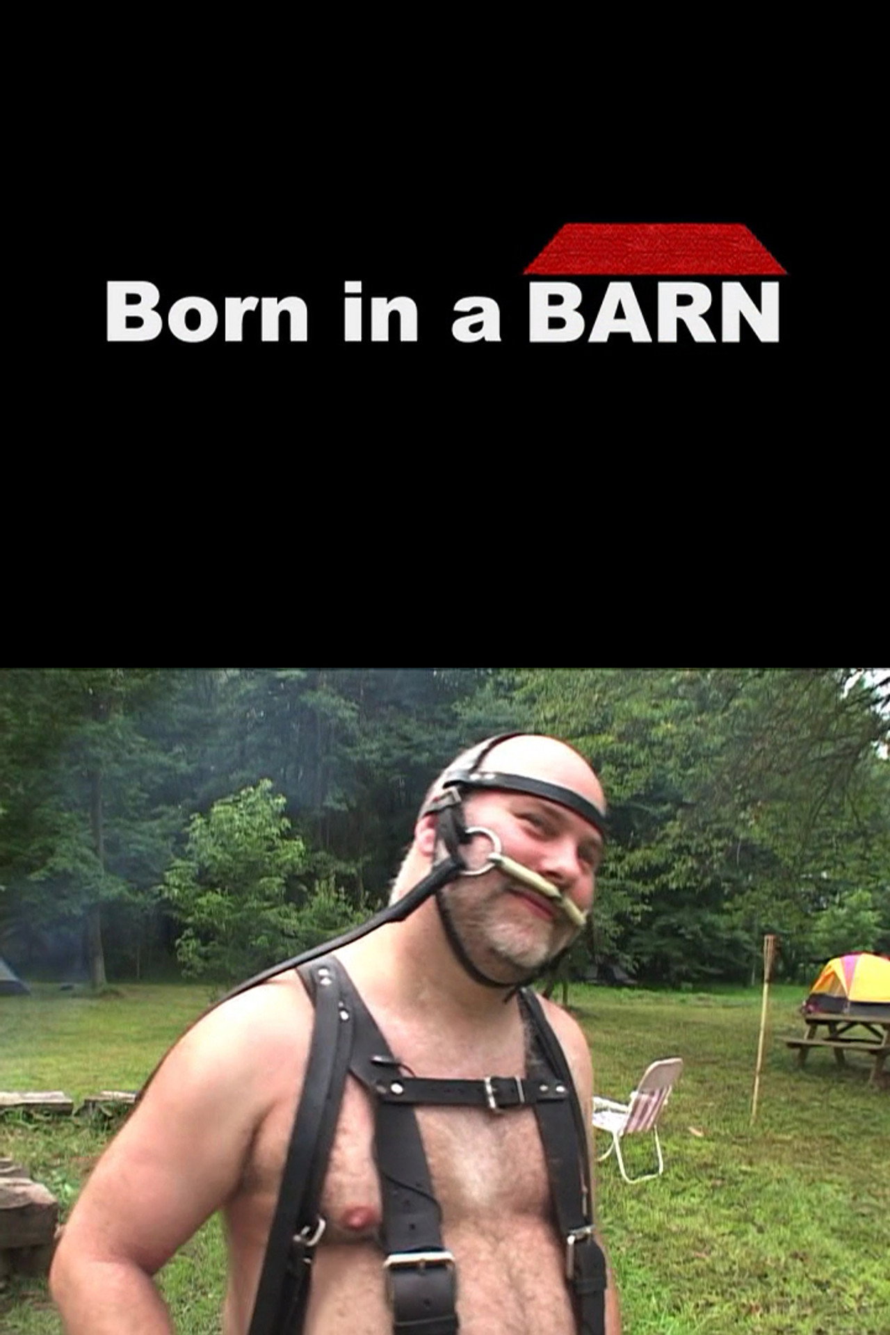 Born in a Barn filmaffisch