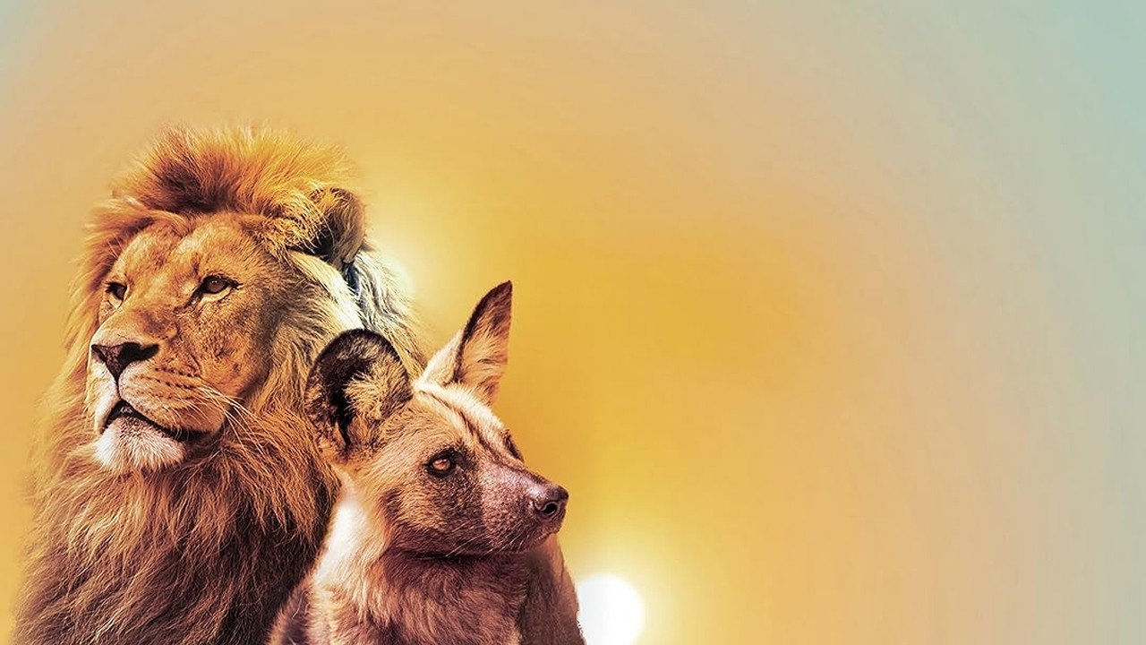 The Pack