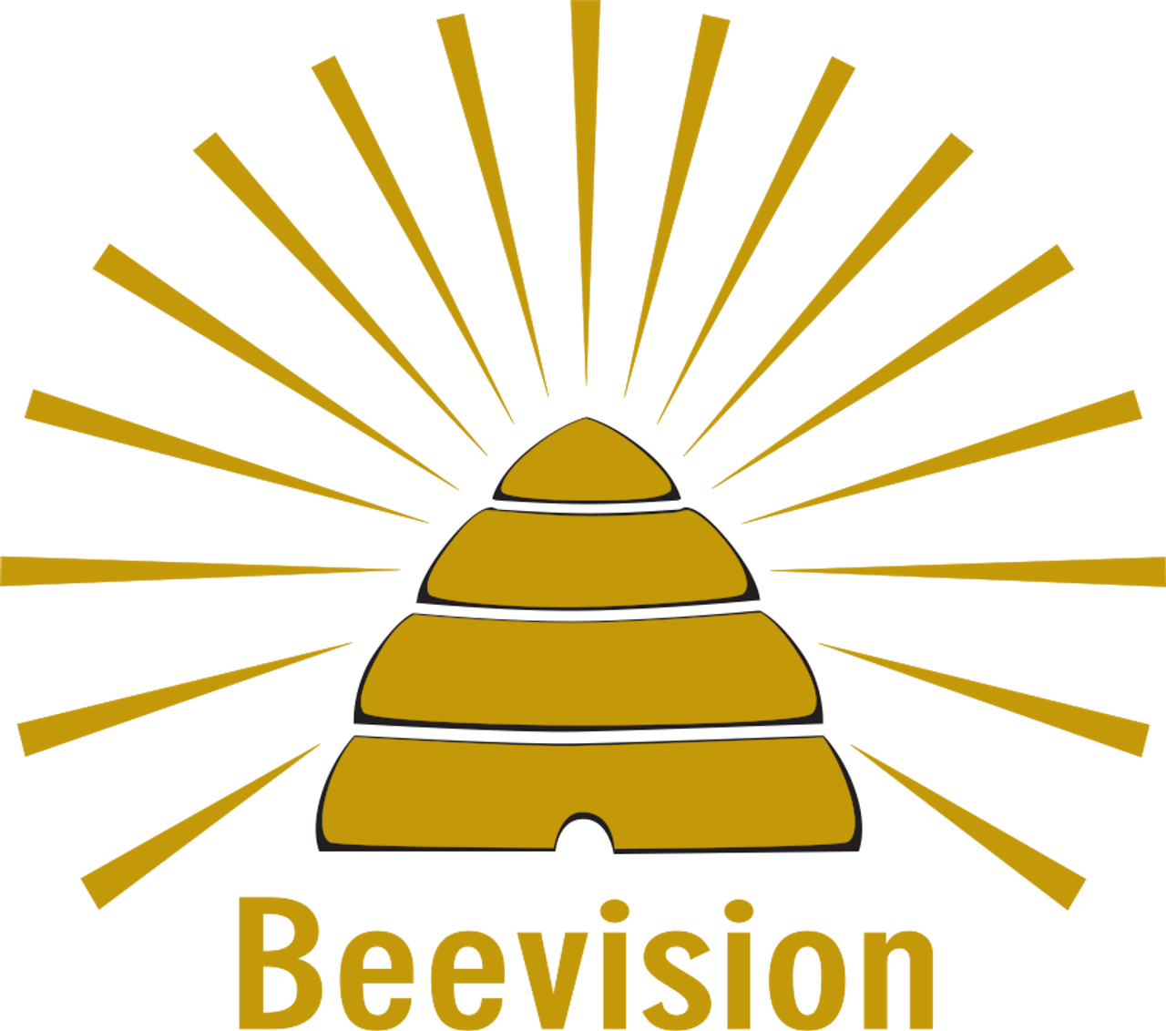 Beevision