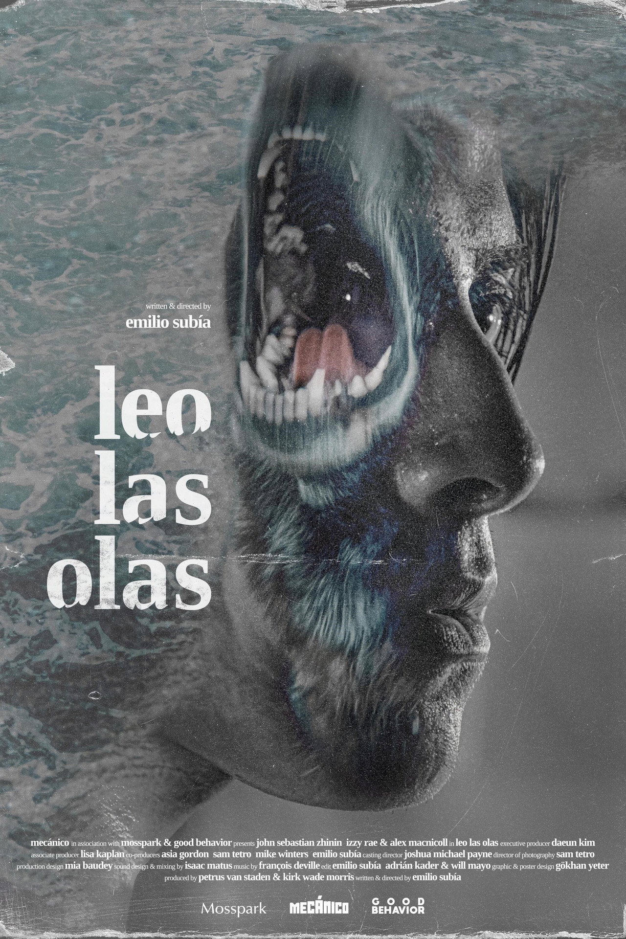 Leo las olas filmaffisch