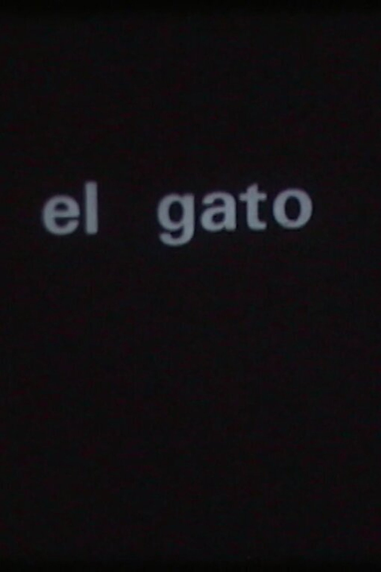 El gato filmaffisch