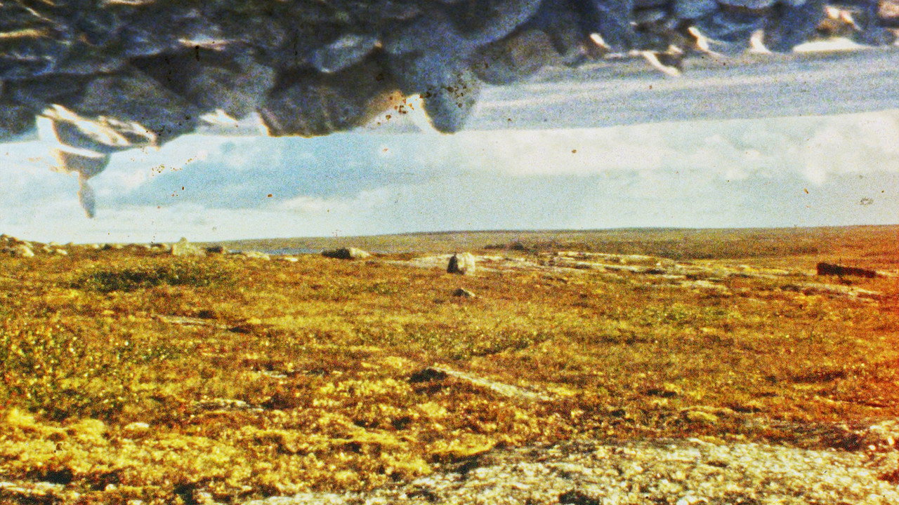 Tuktuit: Caribou still 3