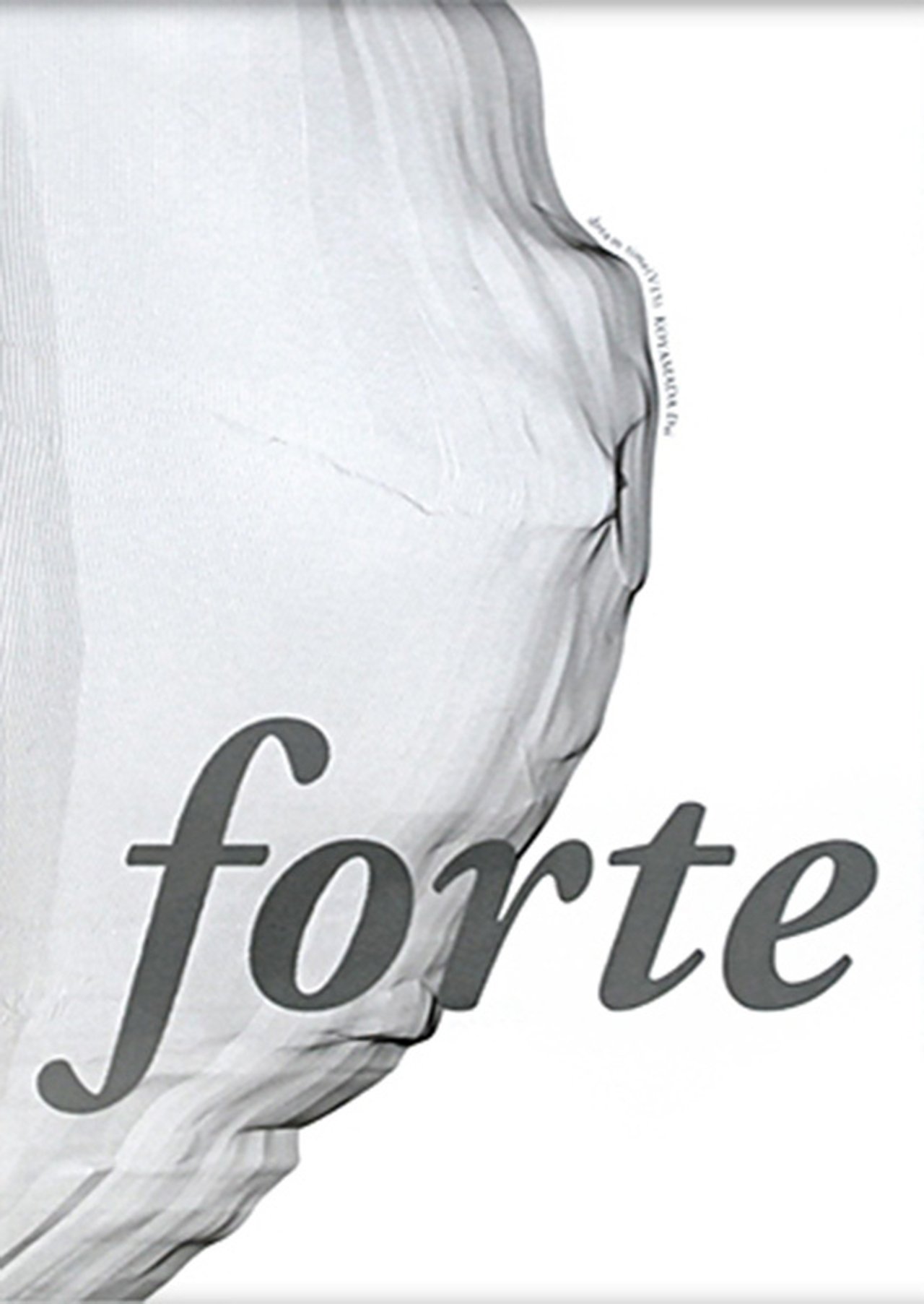 Forte Forte