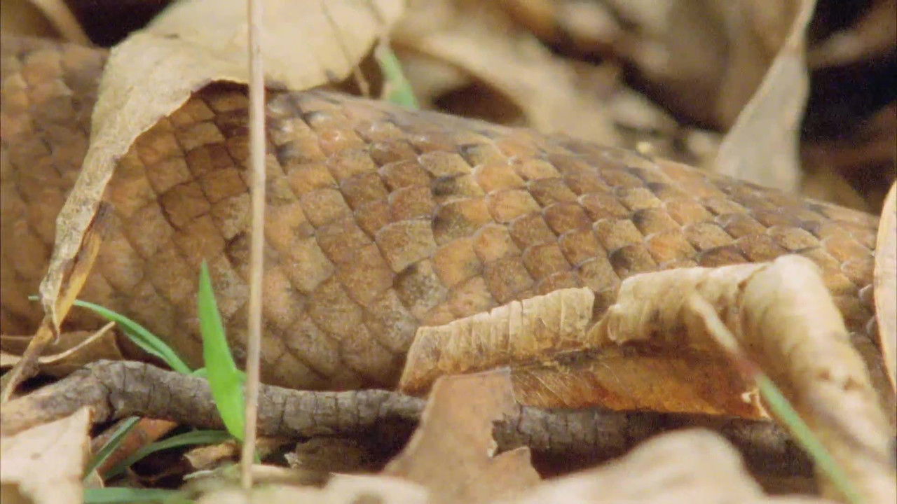 Wild Ones — Épisode 9