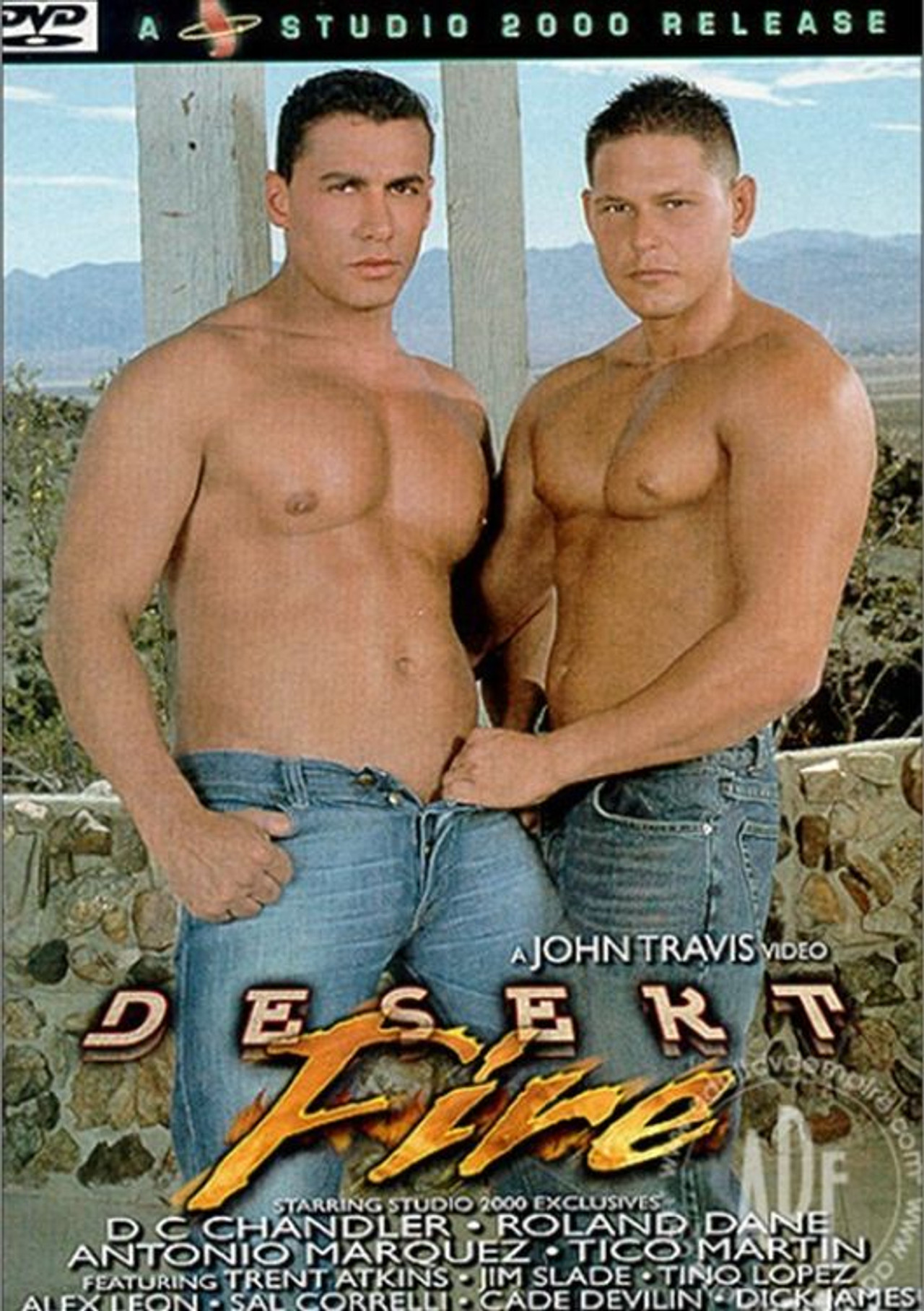 Desert Fire Backdrop