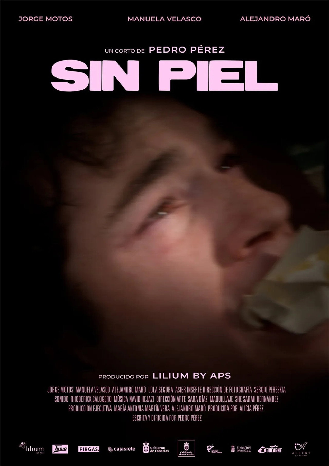 Sin Piel
