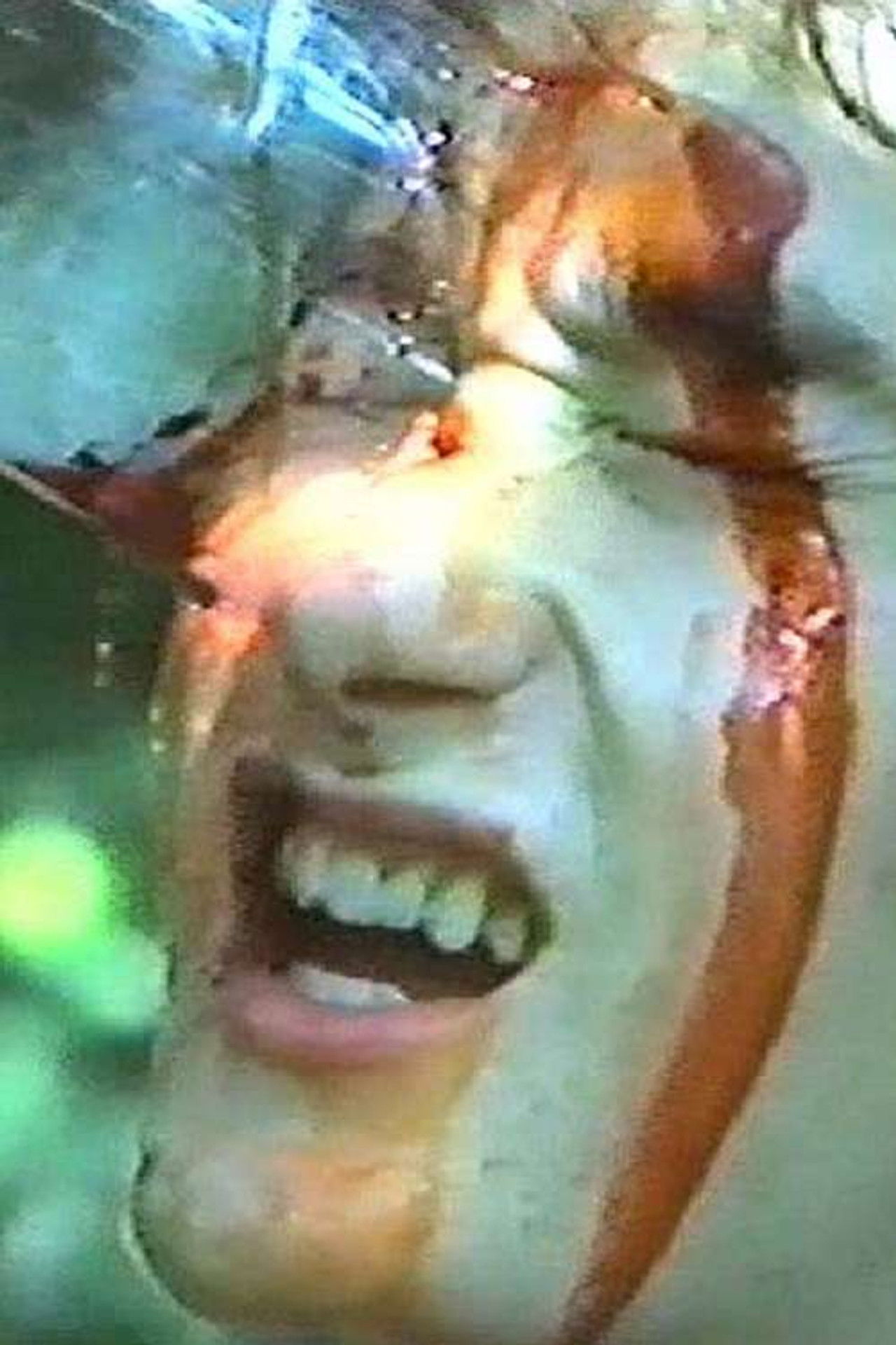 Cursed Woods Backdrop