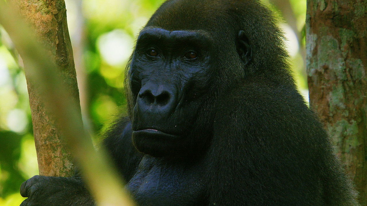 Deadly 60 — Épisode 10