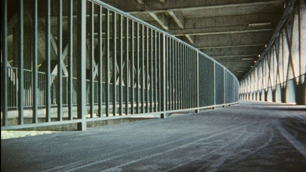 scenes 6