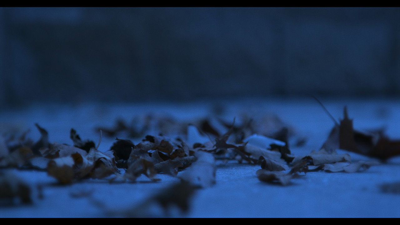 Blood Is Thicker Than Water - 剧照