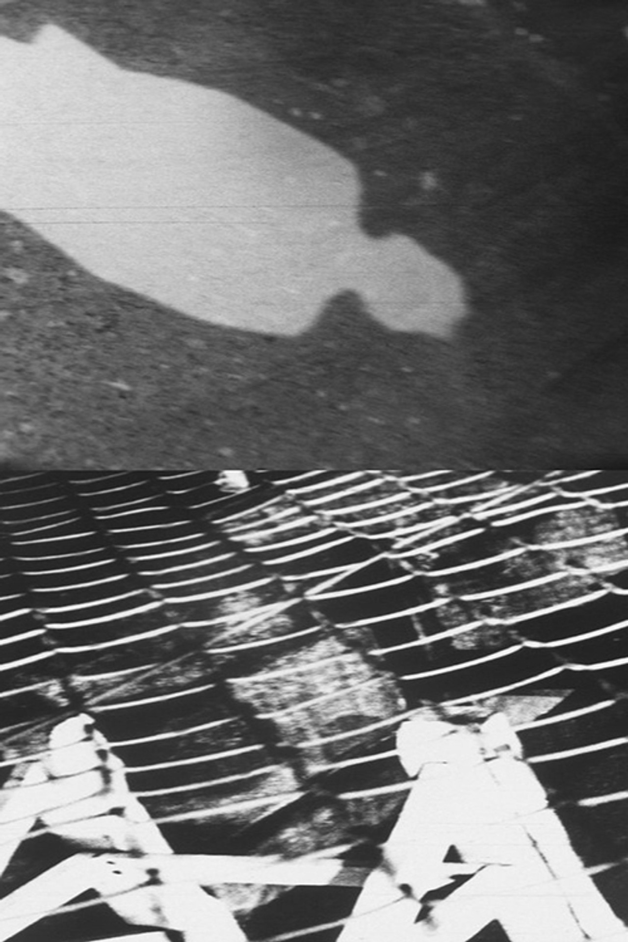 シャドウ filmaffisch
