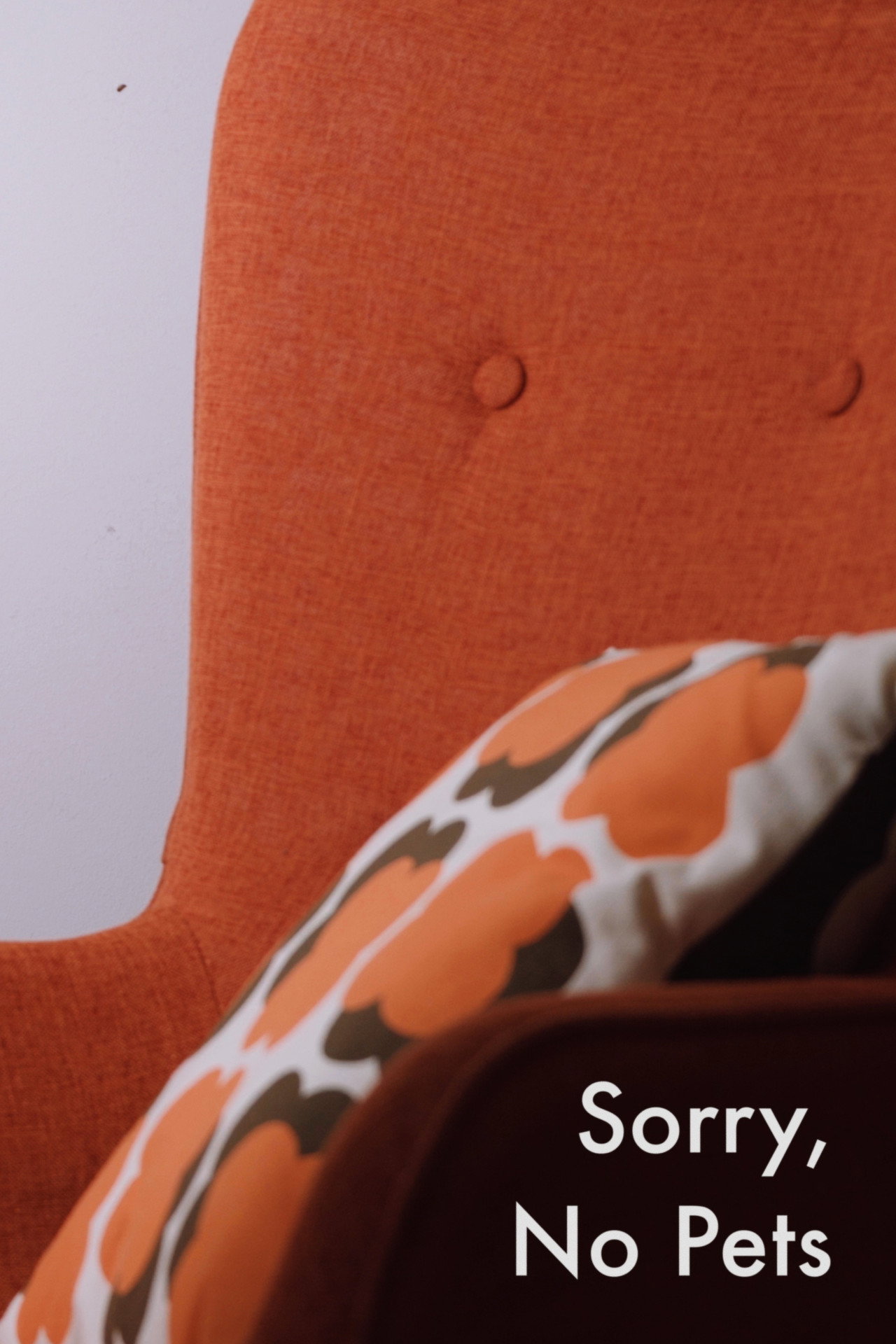 Sorry, No Pets filmaffisch