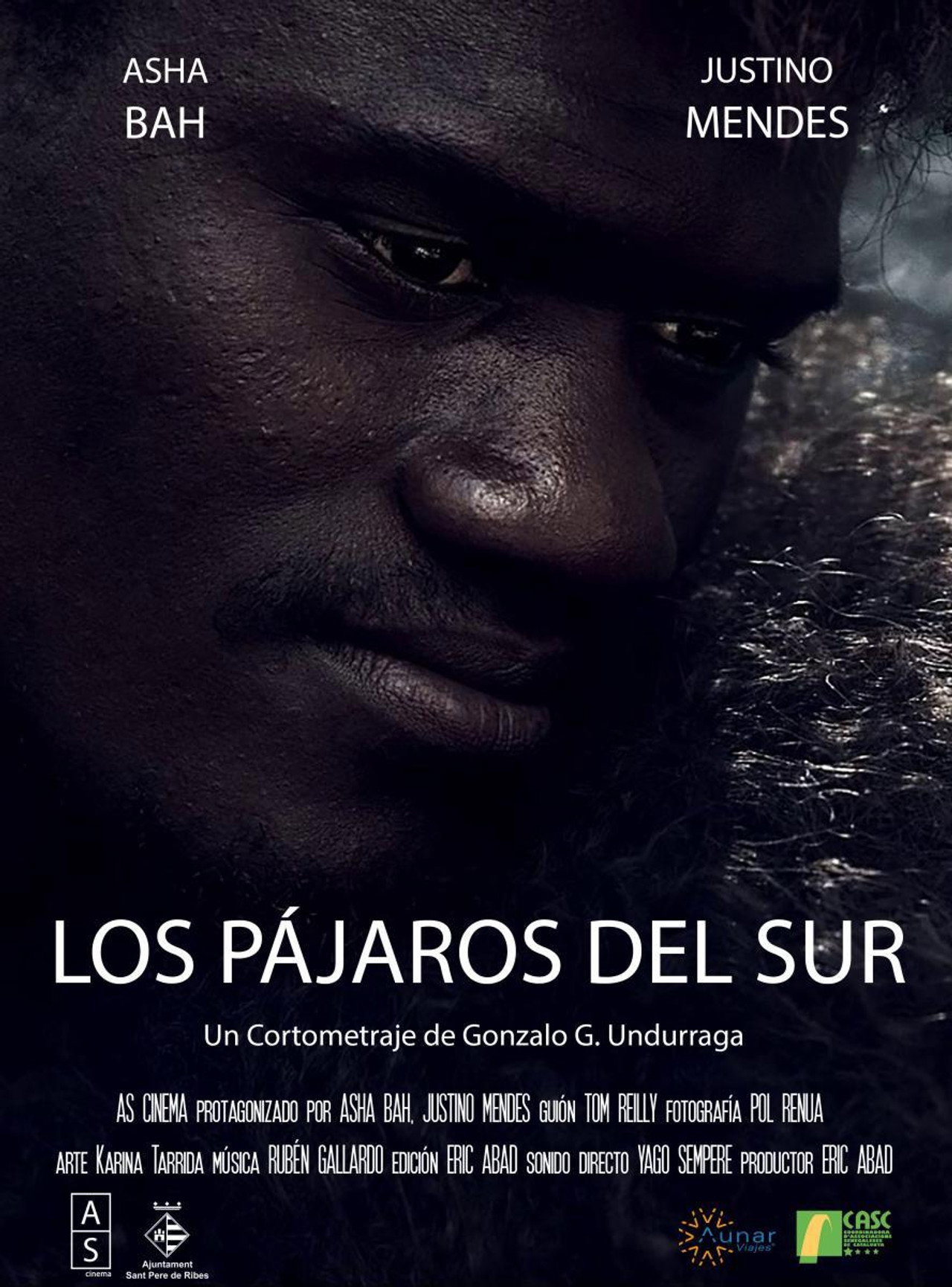 Los Pájaros del Sur Backdrop