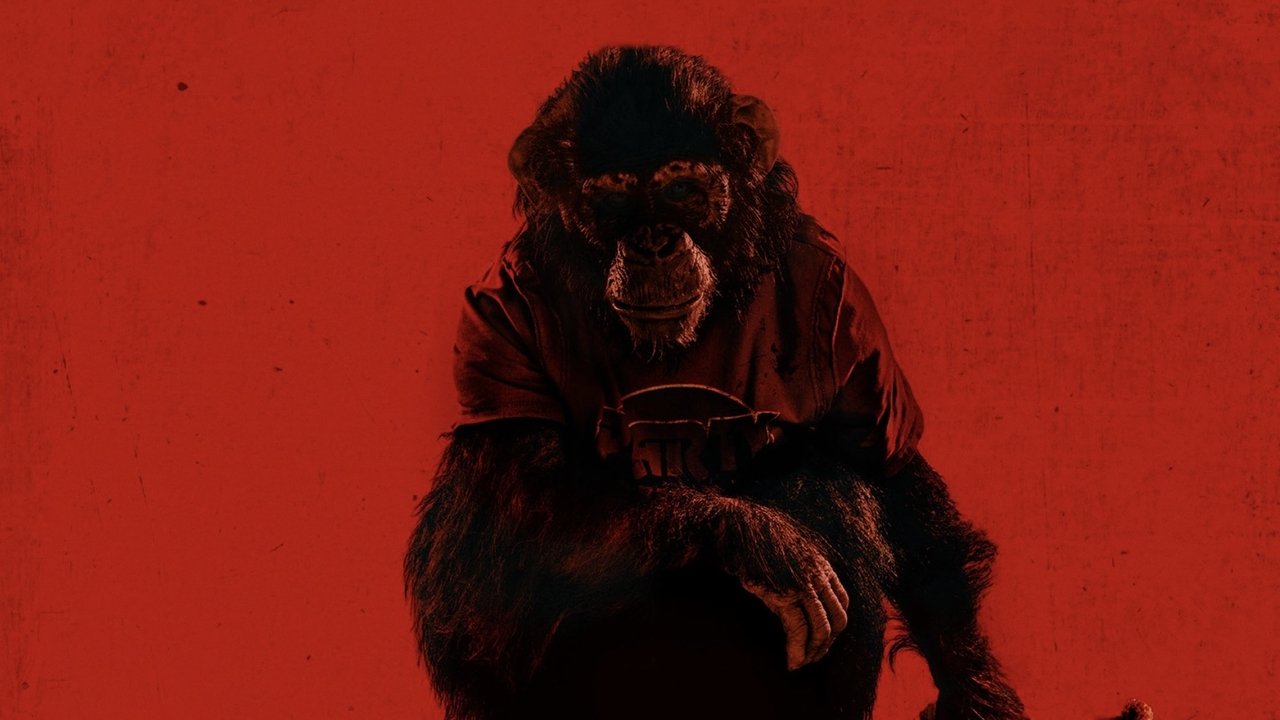 مشاهدة فيلم Primate مترجم بدون اعلانات - خلفية