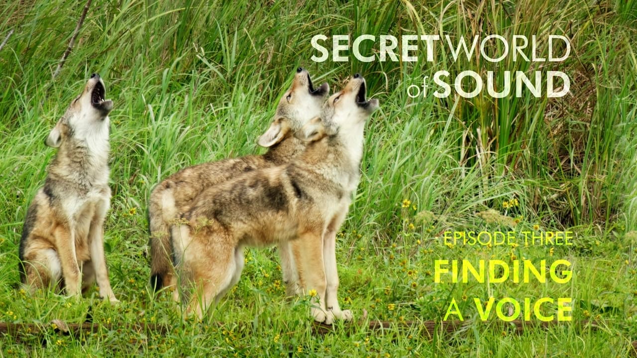 The Nature of Things - Season 63 Episode 9 : Secret World of Sound: Finding a Voice