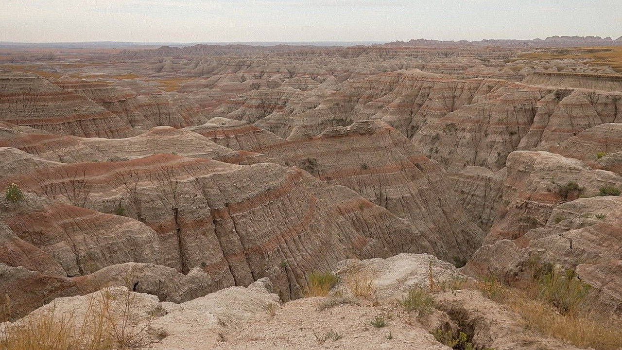 PARK'D — Épisode 5