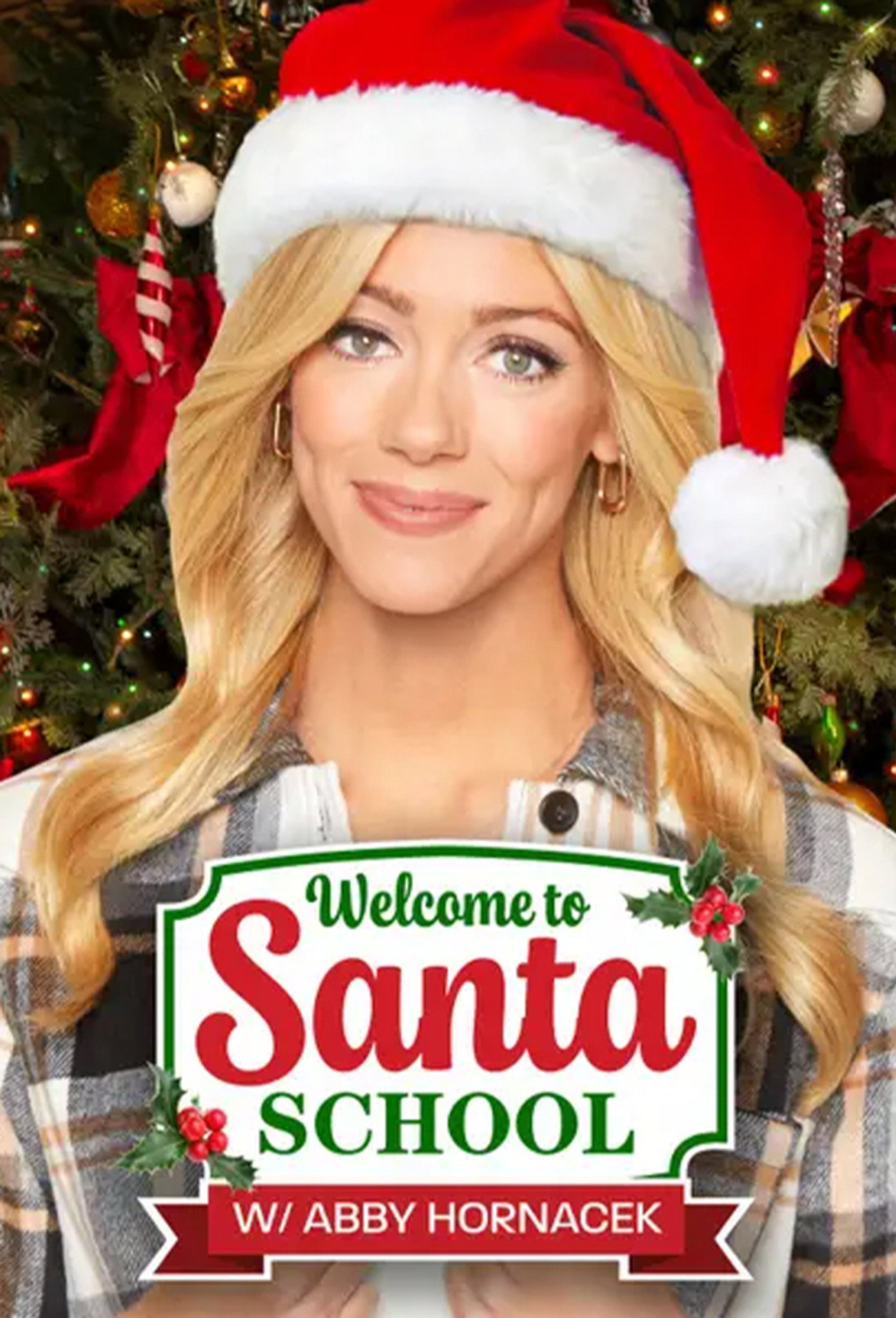 Welcome to Santa School Backdrop
