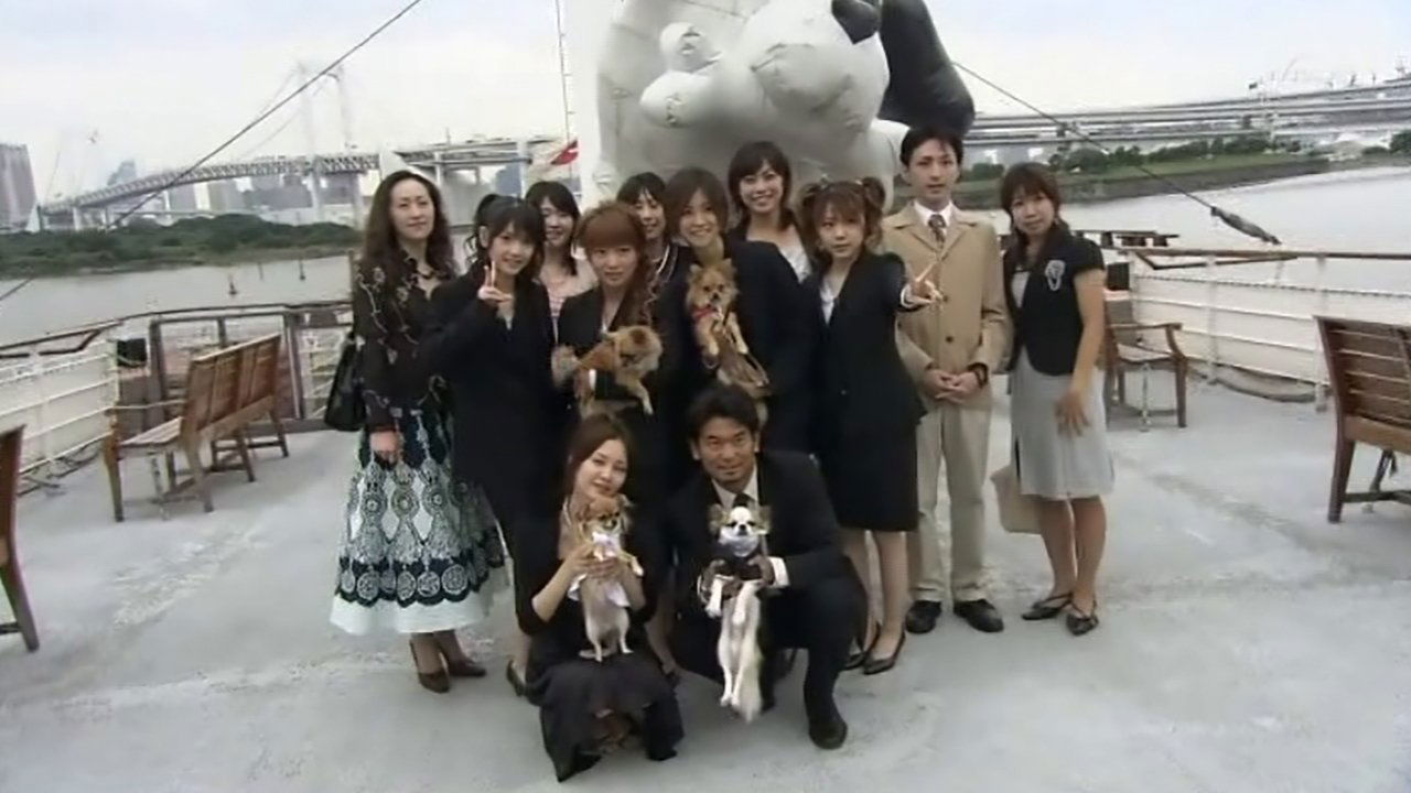 Hello! Morning - Season 1 Episode 333 : Animal Wedding
