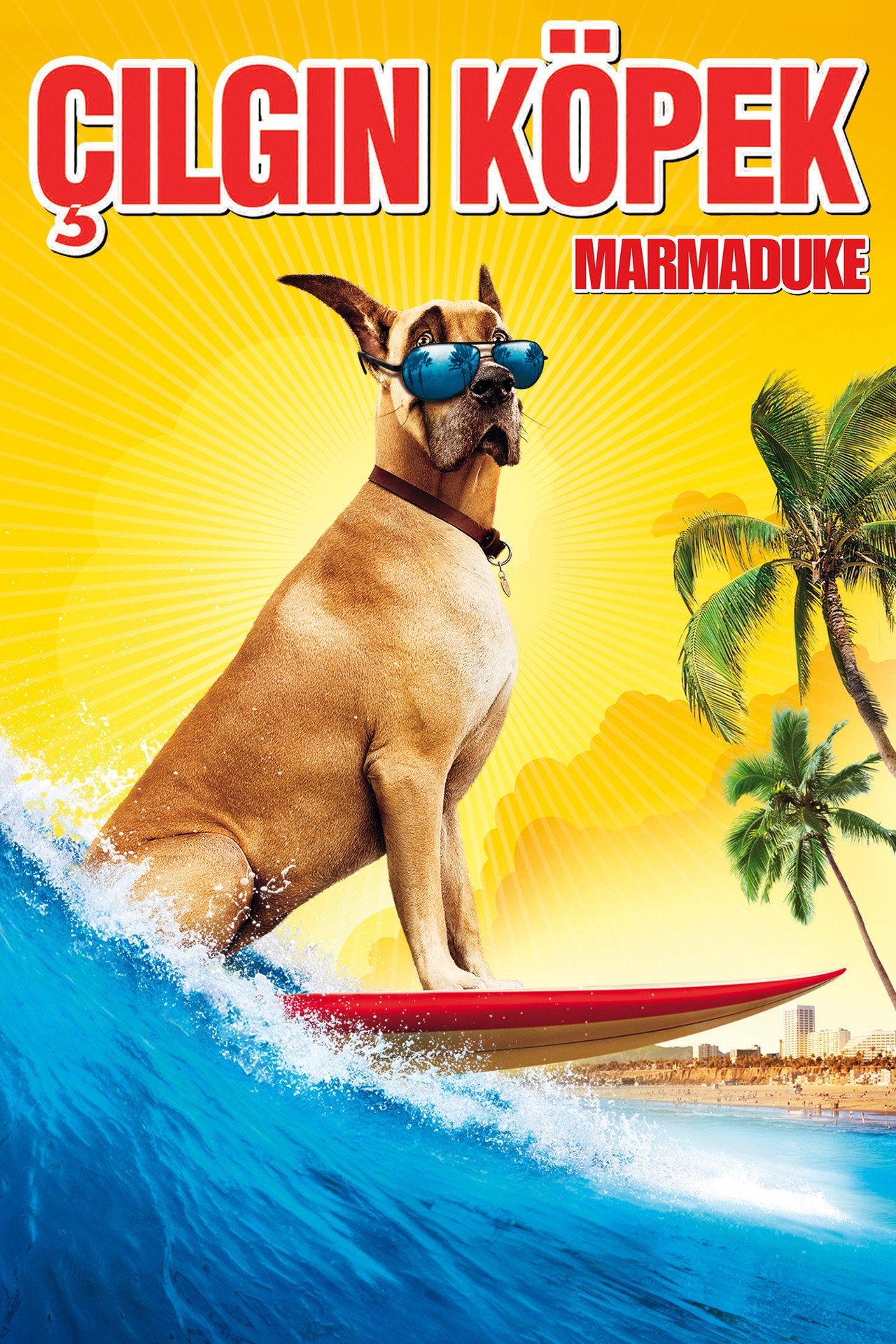 Çılgın Köpek Poster
