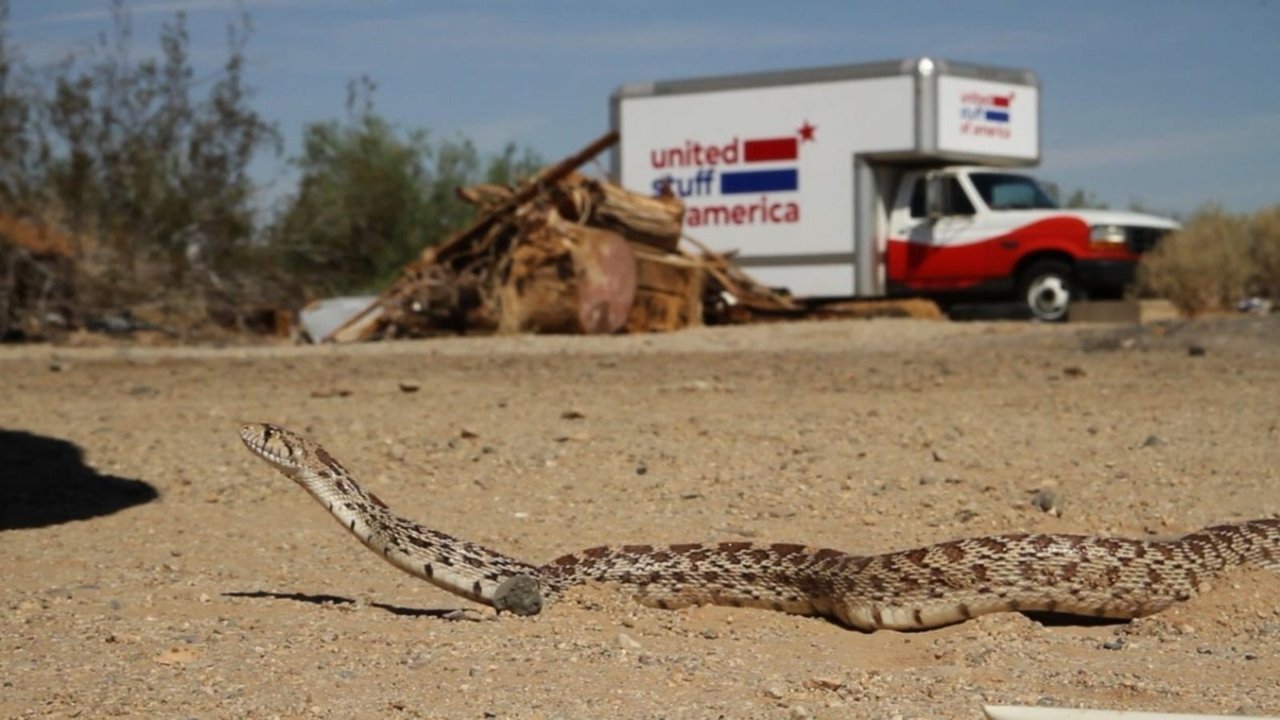 United Stuff of America