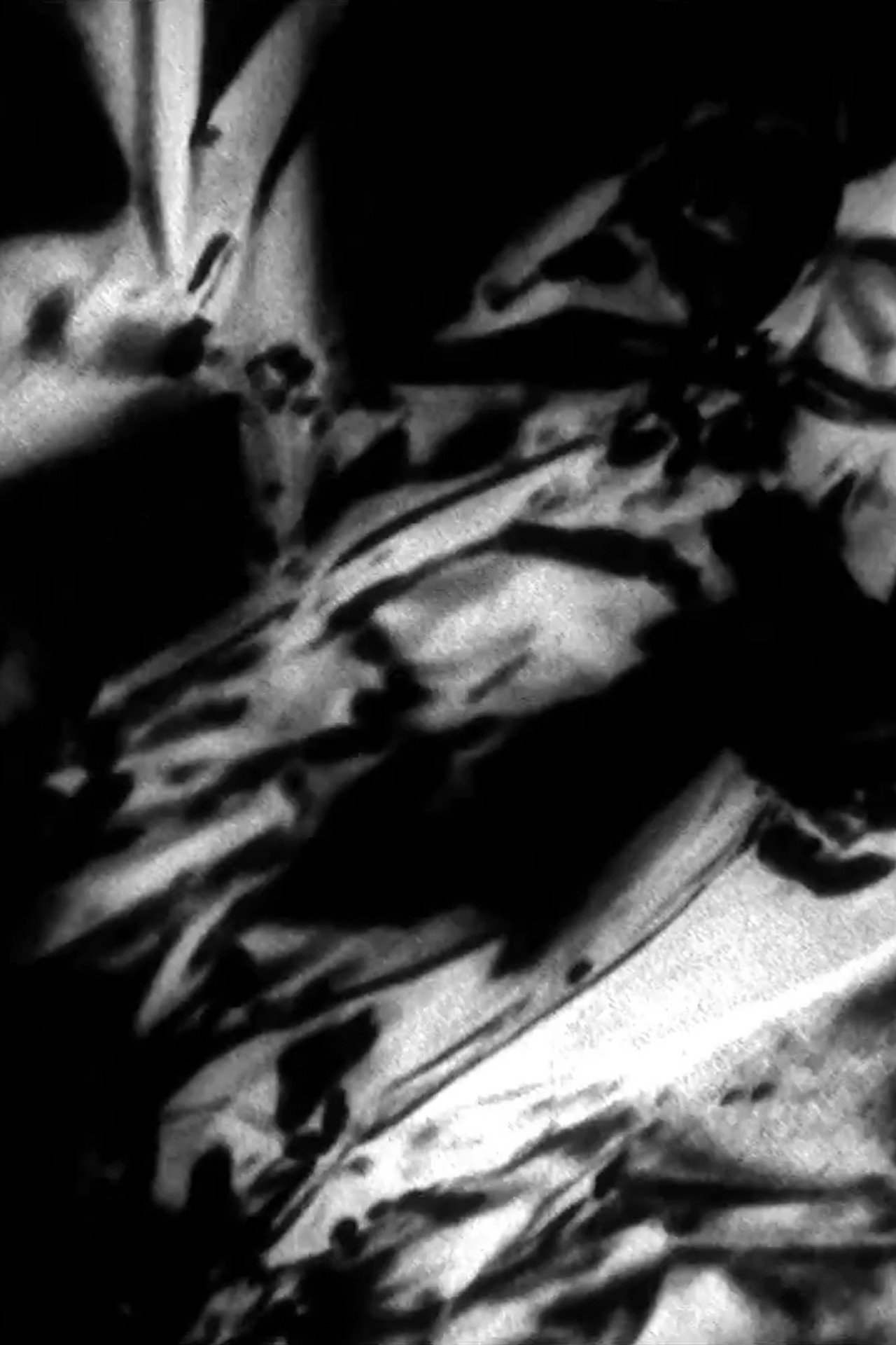 Molten Shadow filmaffisch